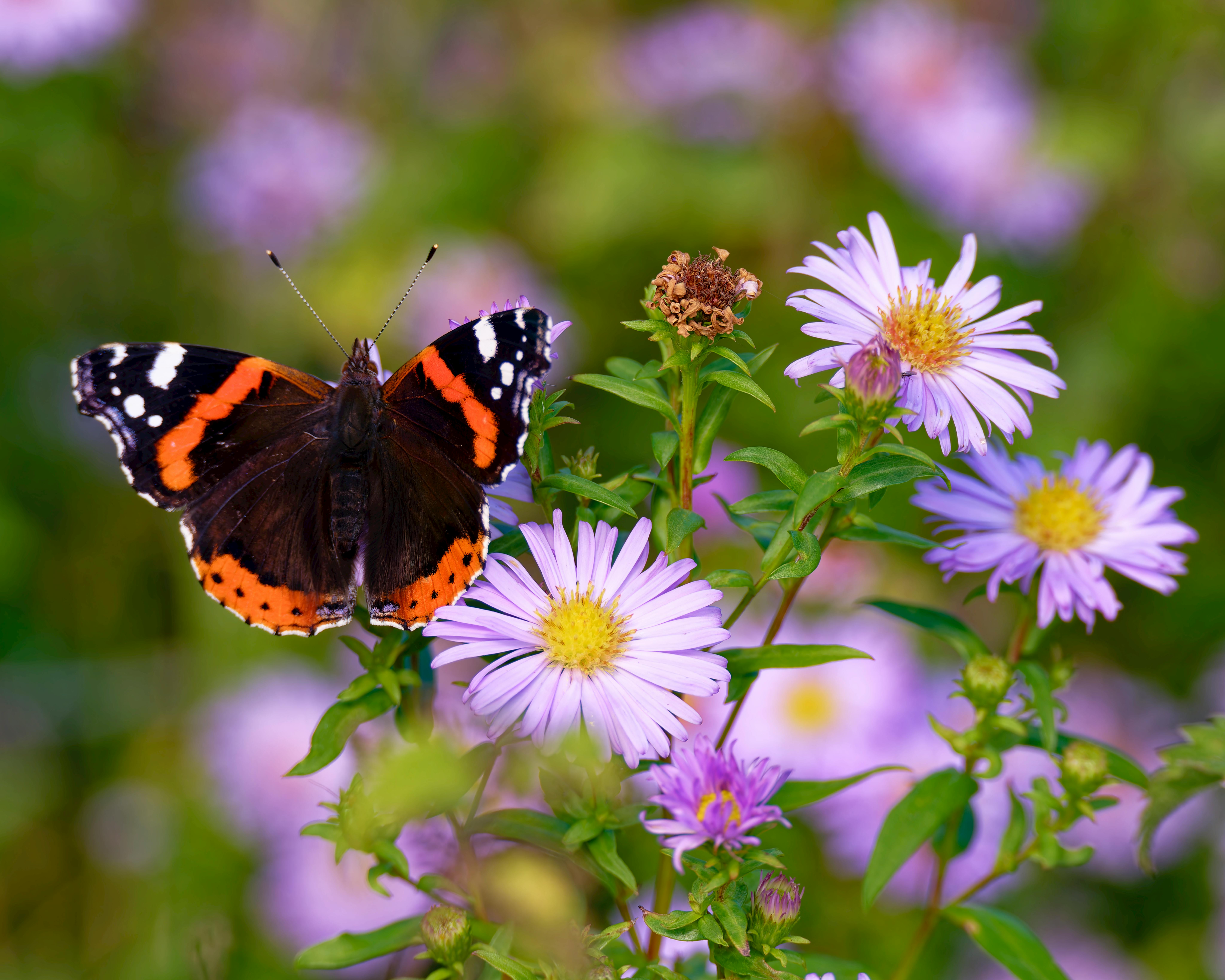 Top Eco-Friendly Lifestyle Choices for Fast Results