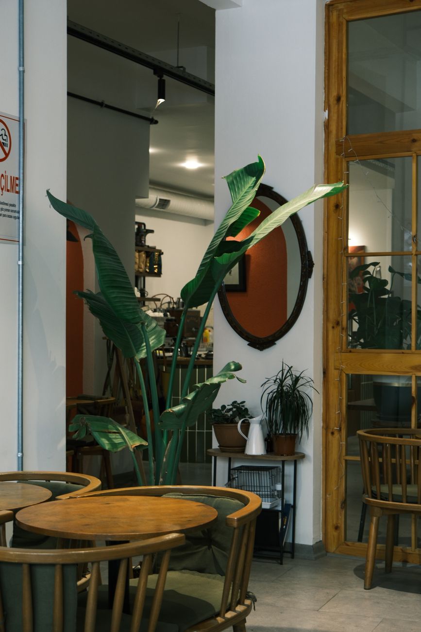 Hidden Cafés in Heidelberg