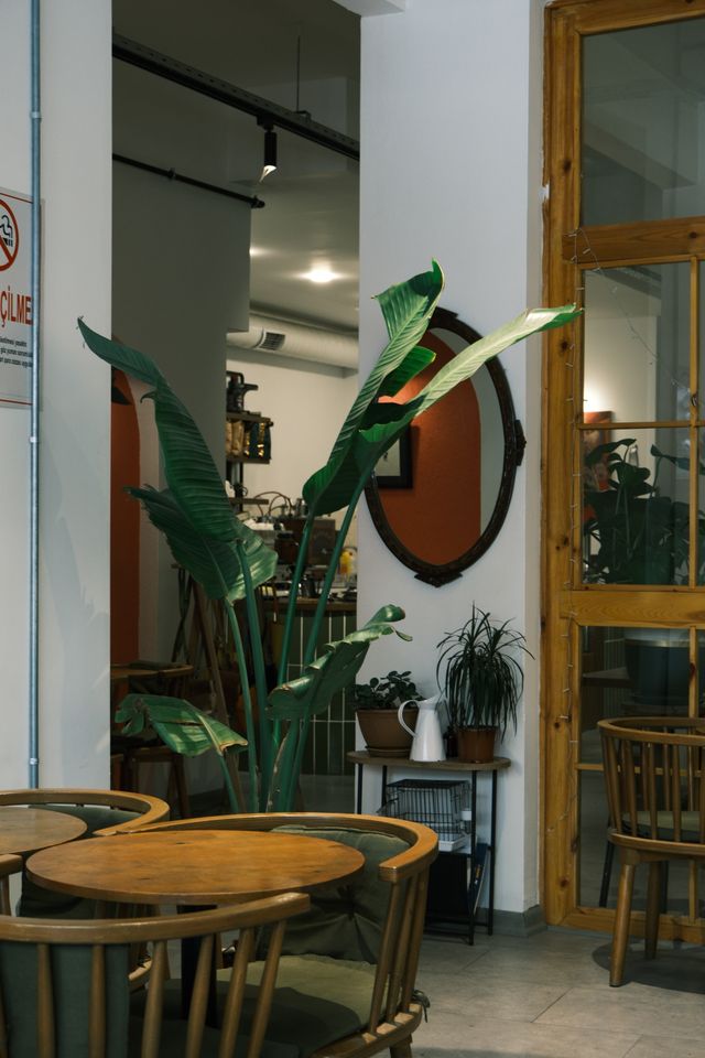 Cafe corner with green plants