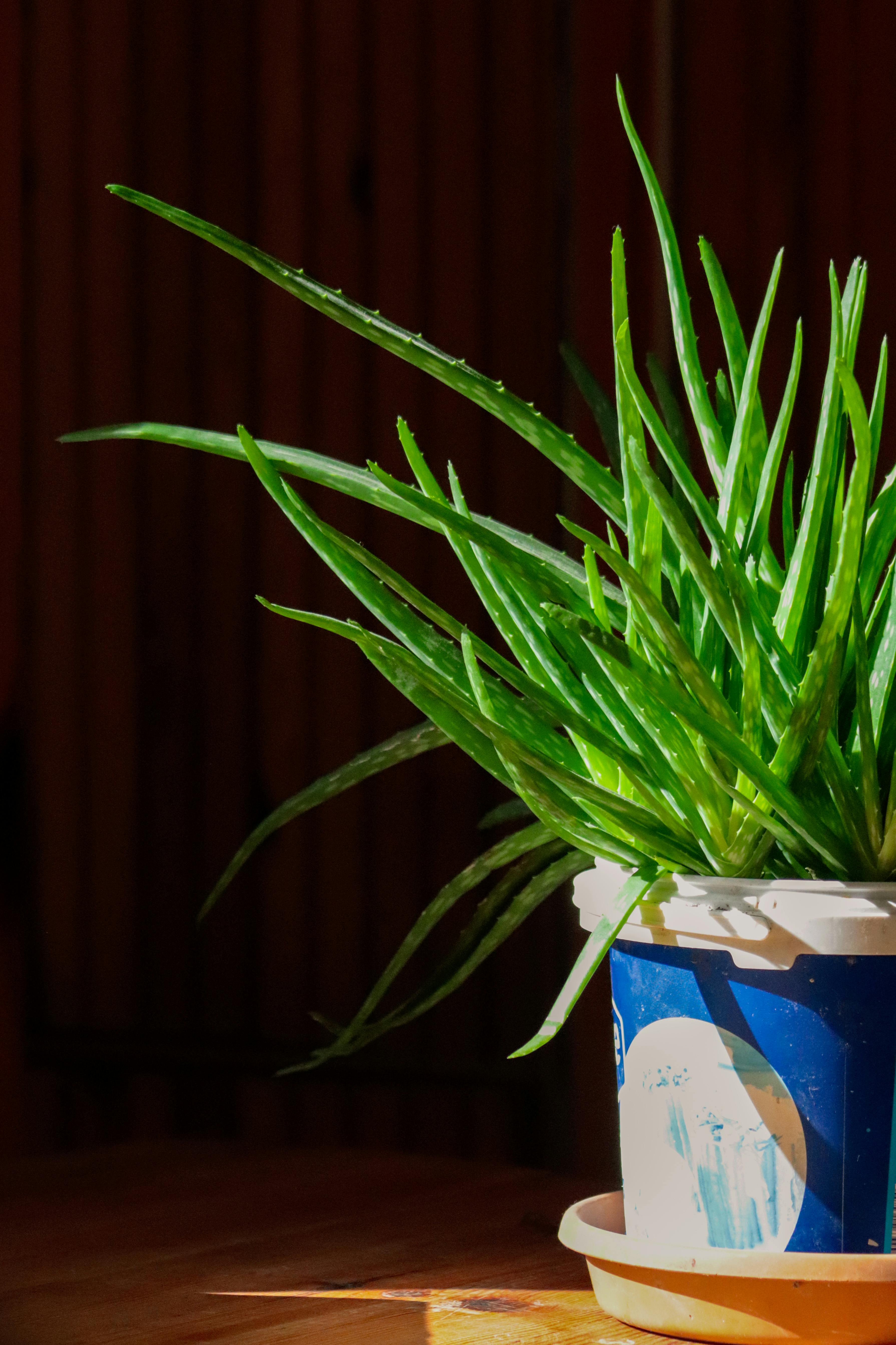 Celeb+Thumbs Photos, Download The BEST Free Celeb+Thumbs Stock Photos & HD Images