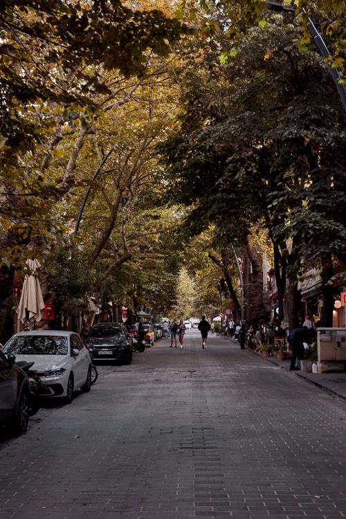 Free Charming autumn street scene in İstanbul with people strolling under golden foliage. Stock Photo