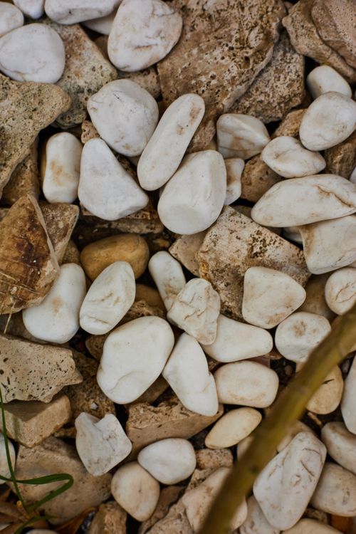 Free Close-up of smooth, textured pebbles and rocks in natural outdoor setting. Stock Photo
