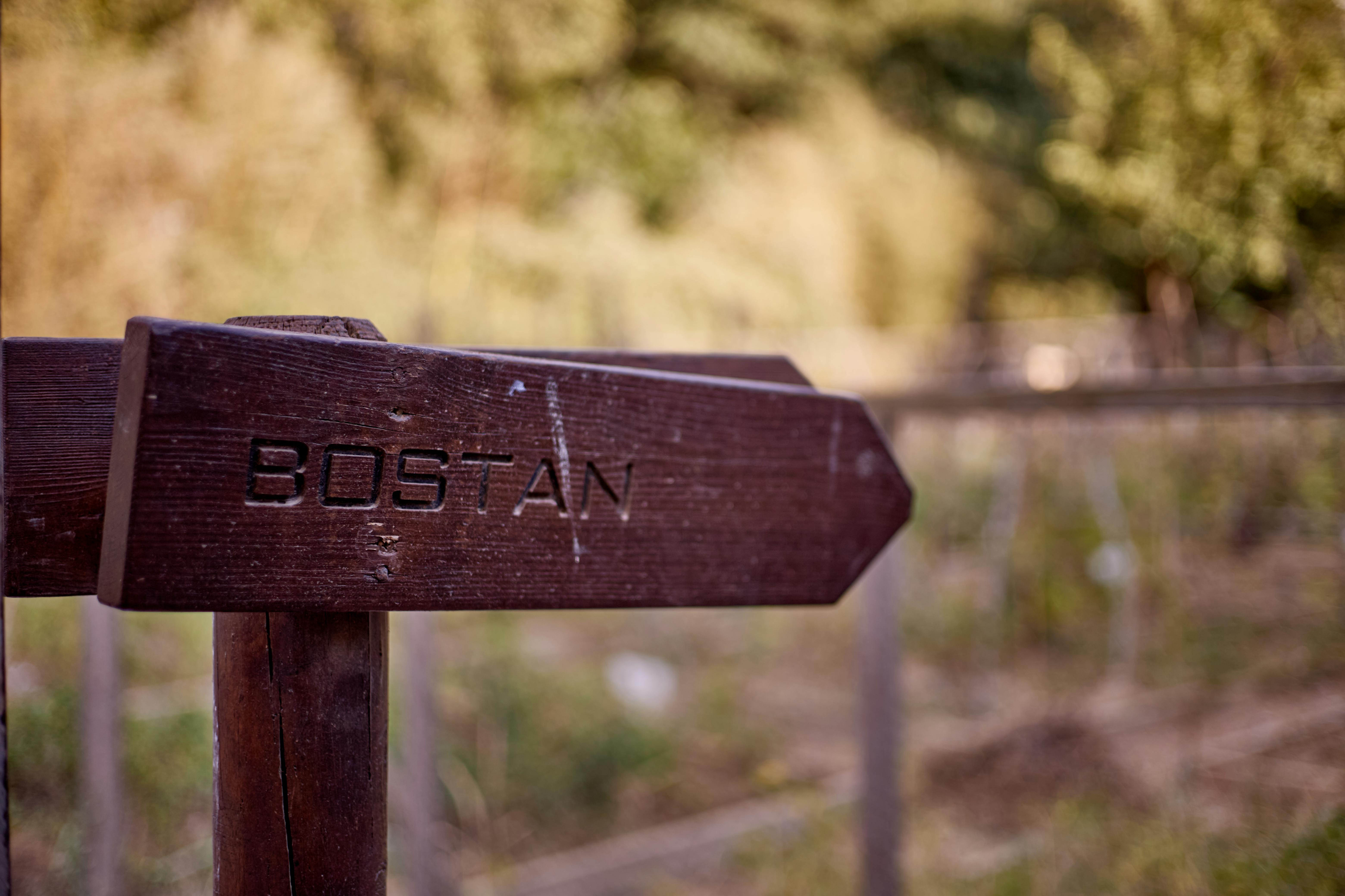 Exclusive Insights into Smart Urban Farming Strategies