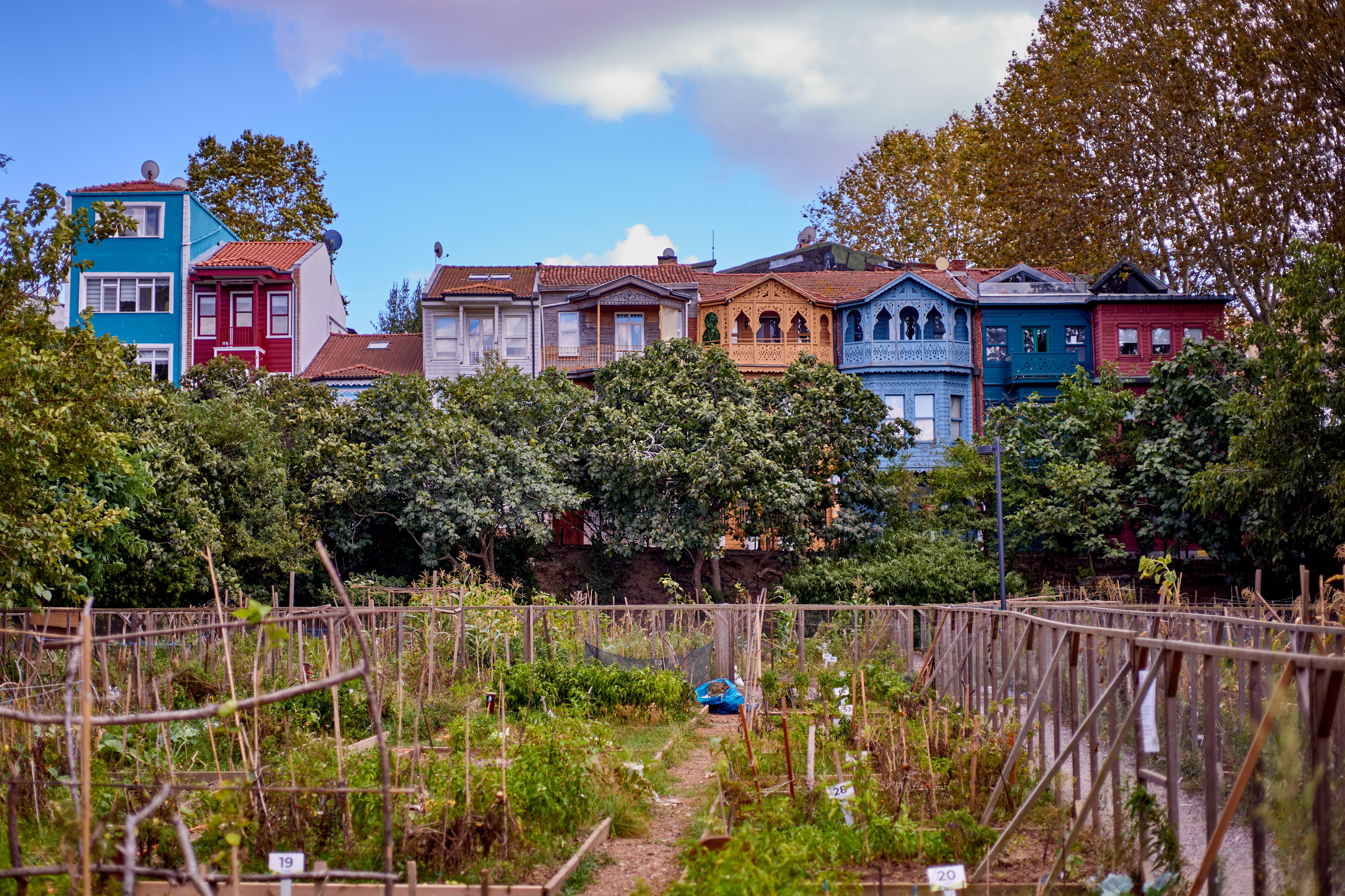 The Lost Supper: Can Indigenous Food Traditions Survive the American City?
