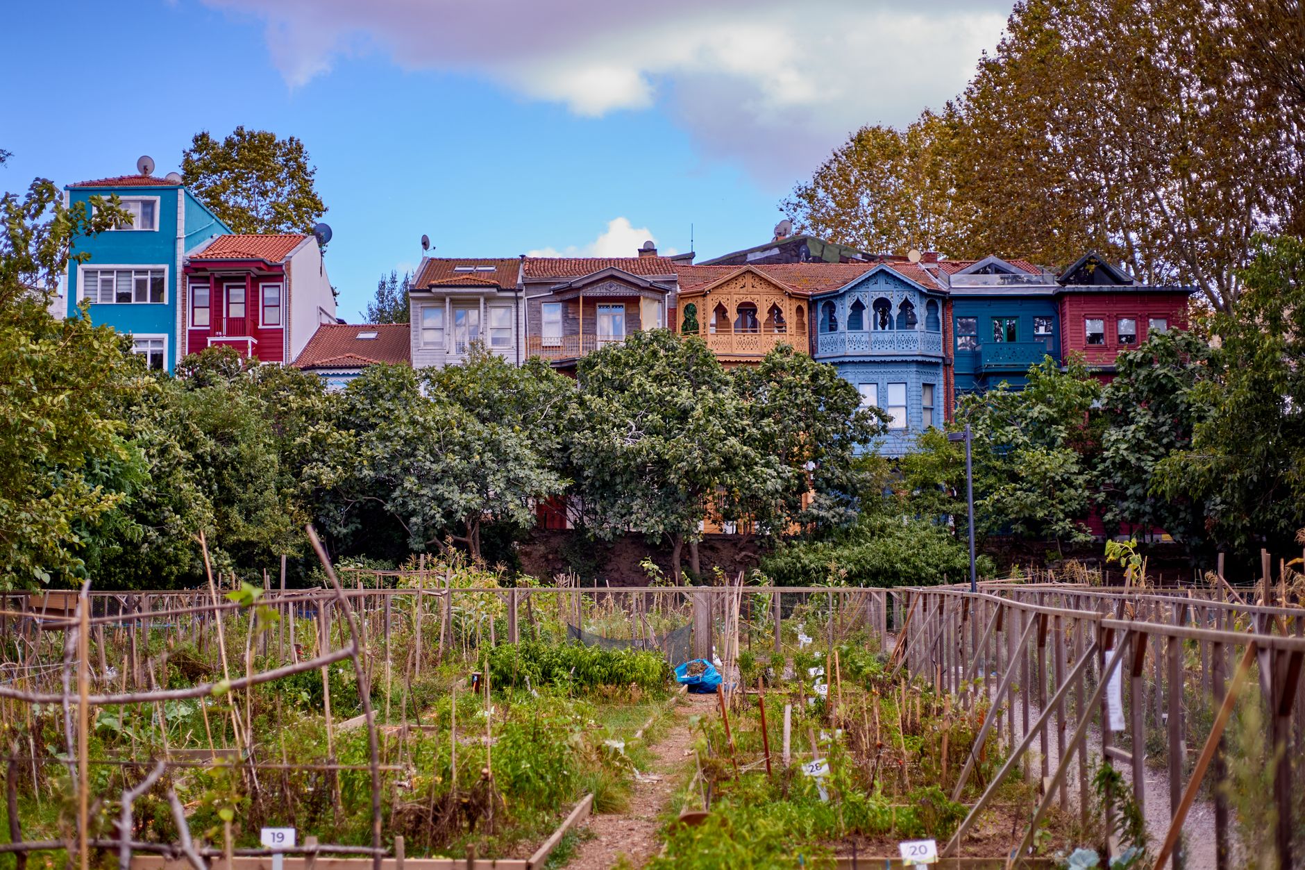 The Lost Supper: Can Indigenous Food Traditions Survive the American City?