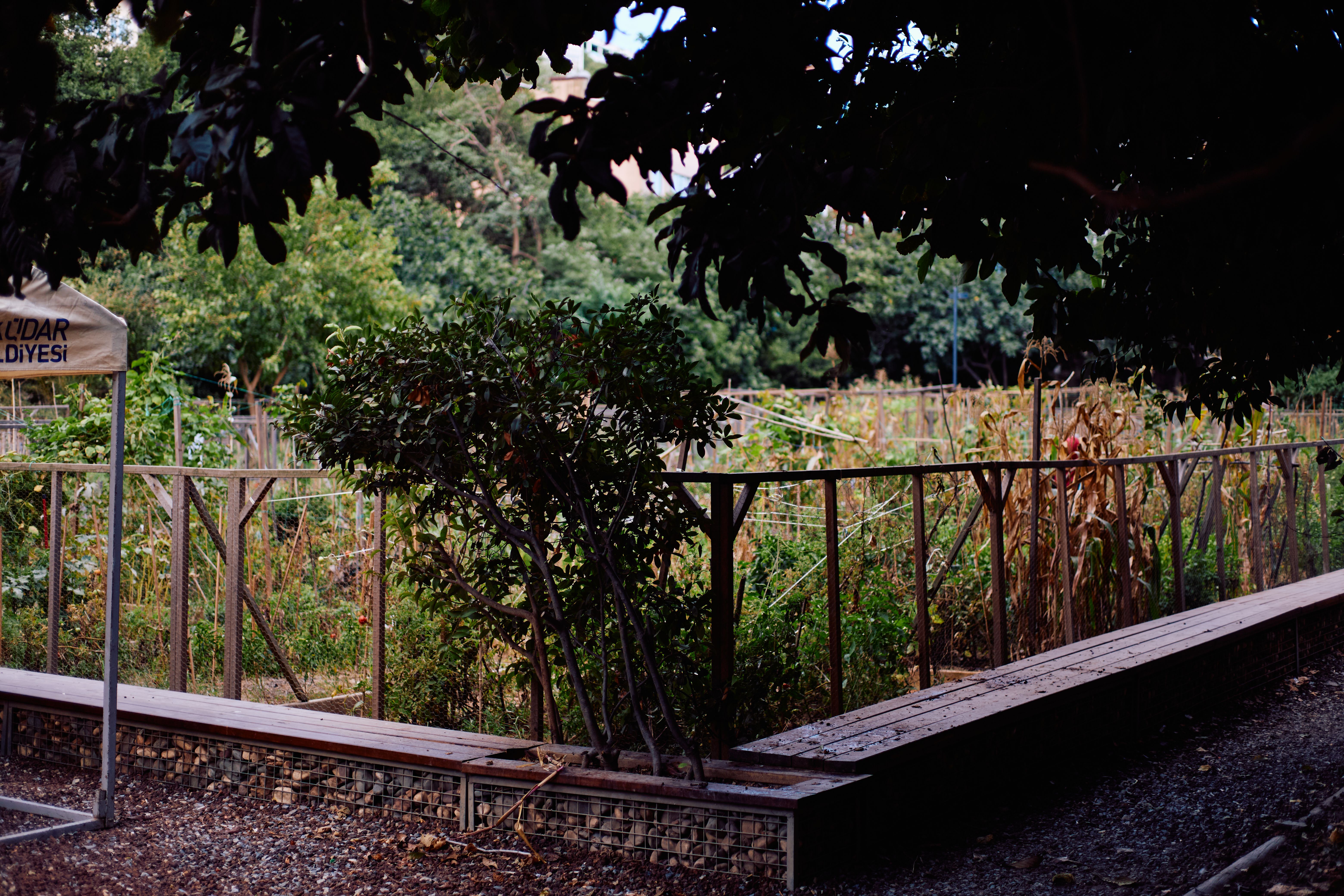 Starting a Raised-Bed Garden: An Honest First-Season Guide