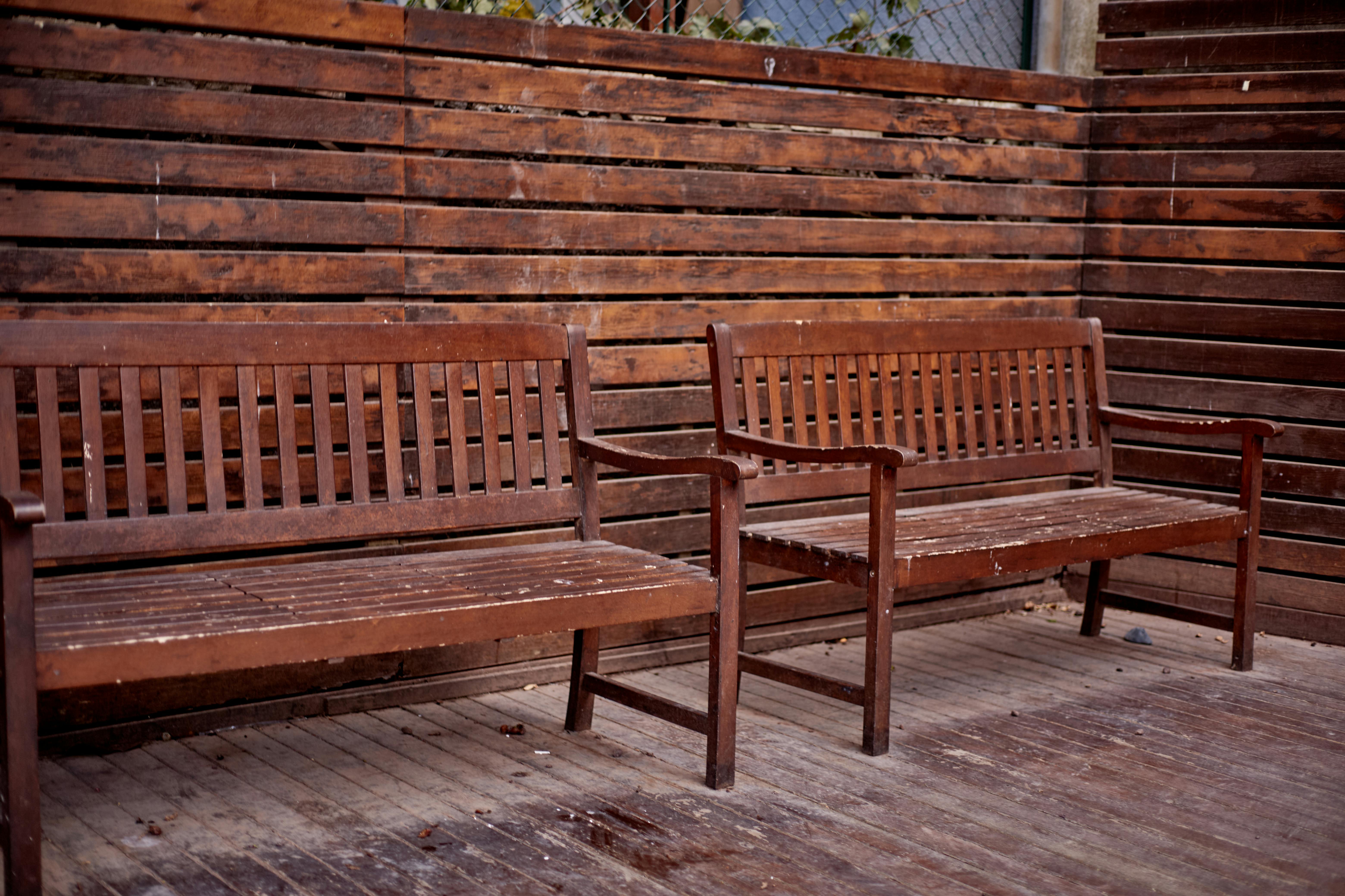 Urban Gardening Tips: Best Plants for Your City Balcony