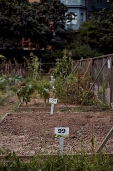 A community garden in İstanbul with numbered plots ready for planting.