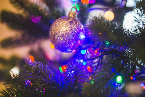 Christmas Ball on Green Christmas Tree