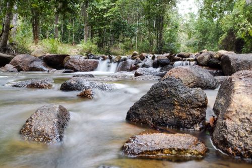 Free Serene forest stream with gentle waterfall over mossy rocks, perfect for nature themes. Stock Photo