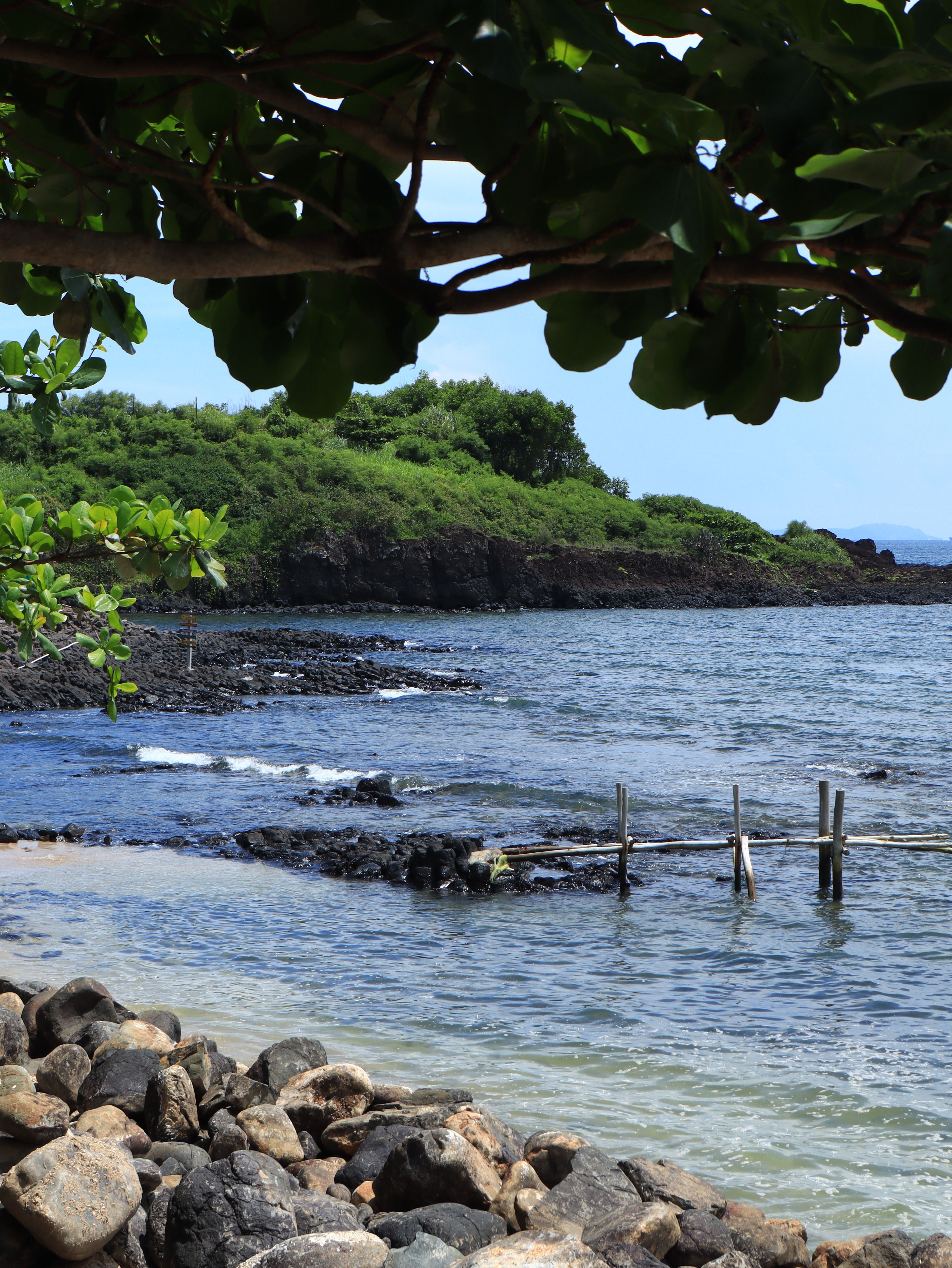 Scenic Coastal View with Lush Greenery and Rocky Shoreline · Free Stock ...