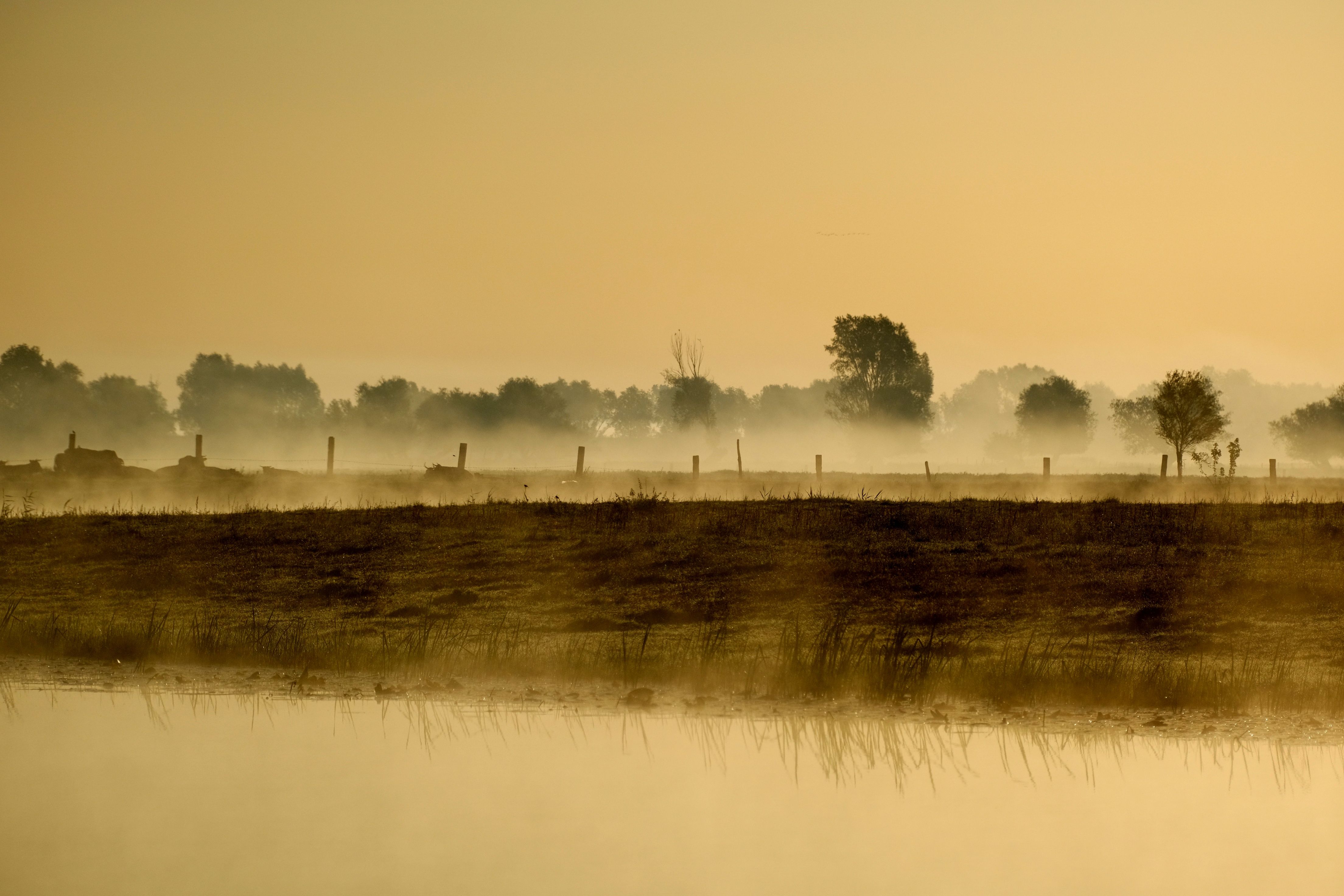 Misty Sunrise Over Serene Landscape · Free Stock Photo