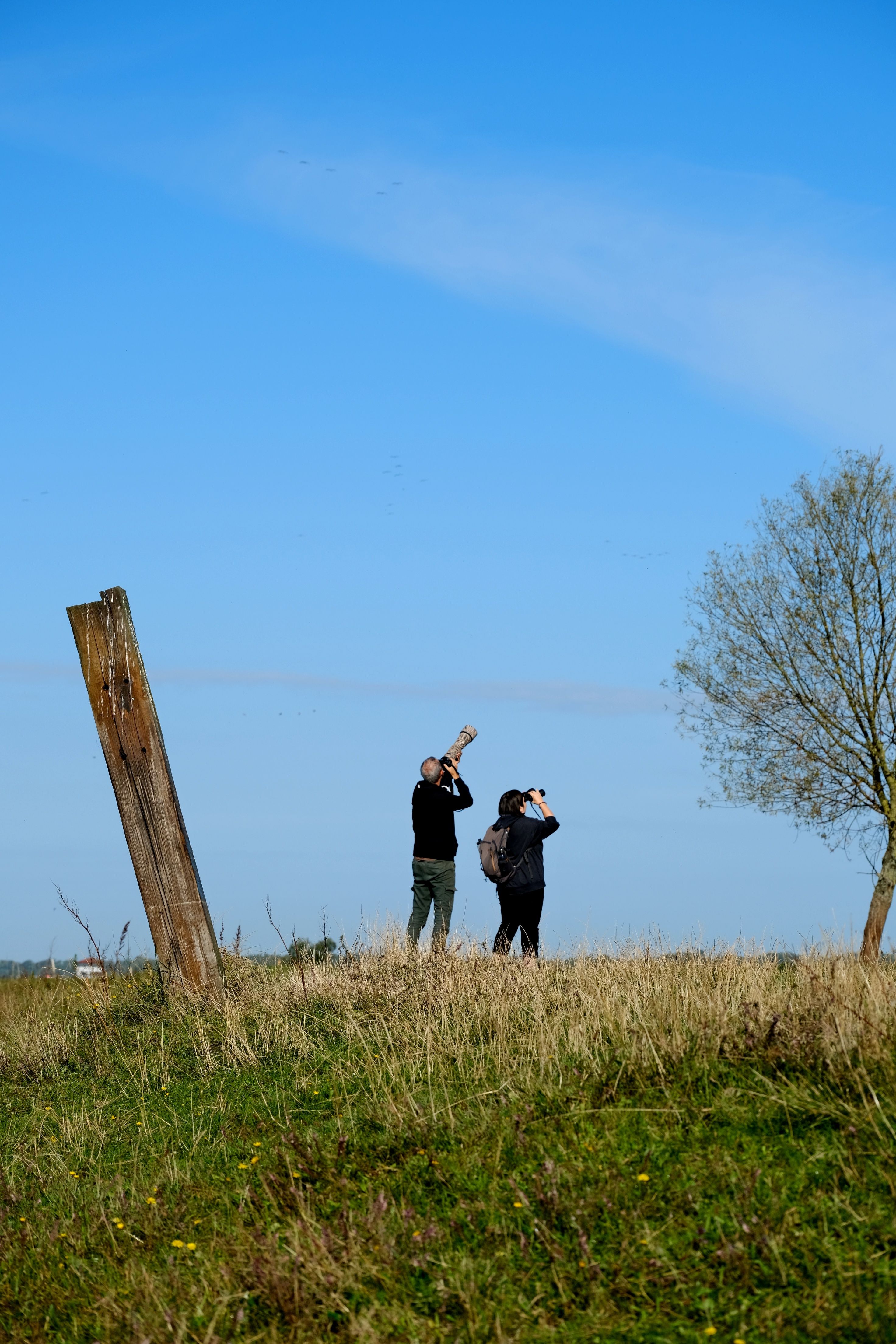 Bird Watching Past Times