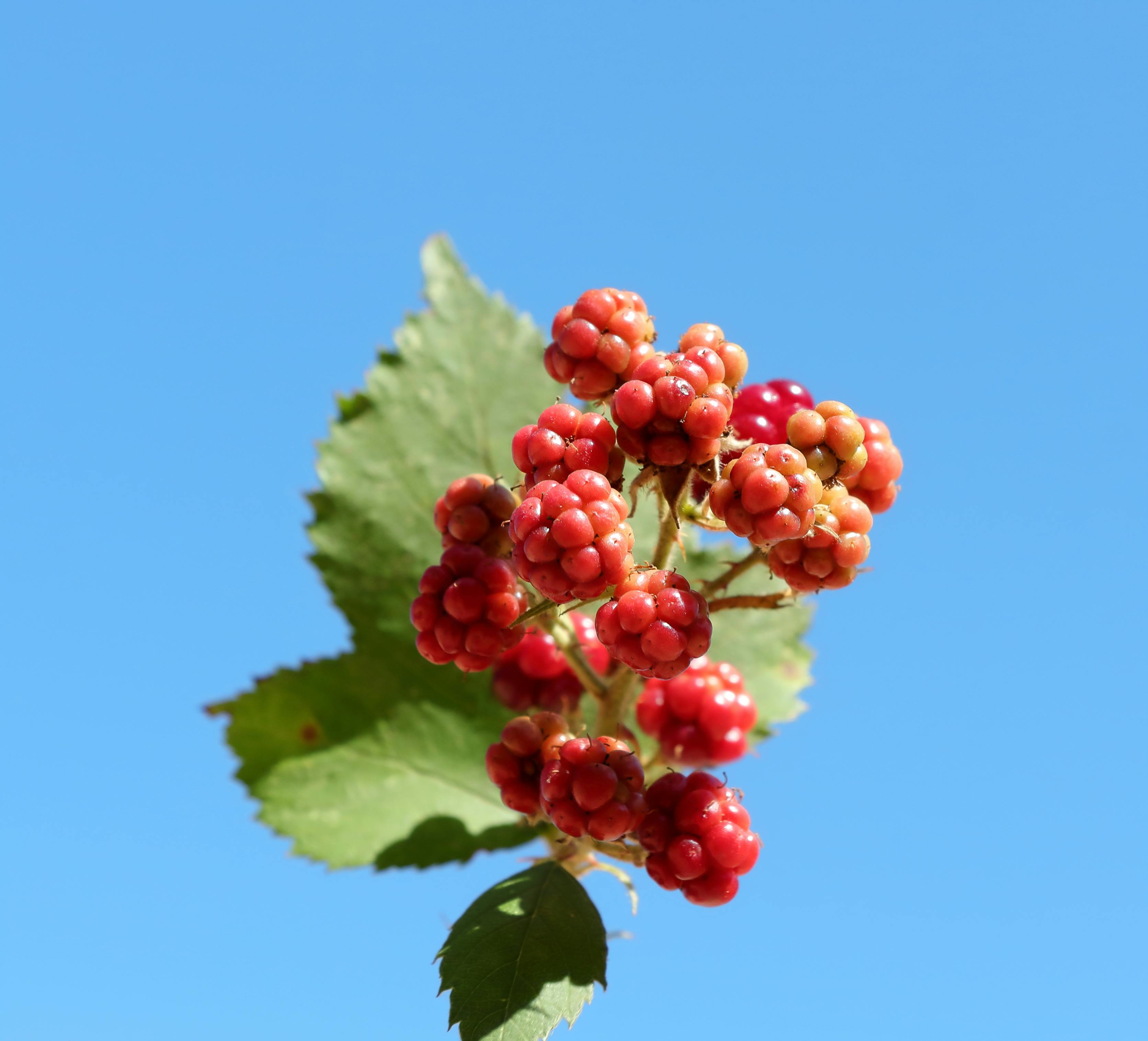 財經：美通膨關鍵指標符合預期 歐股應聲收紅表現強勁