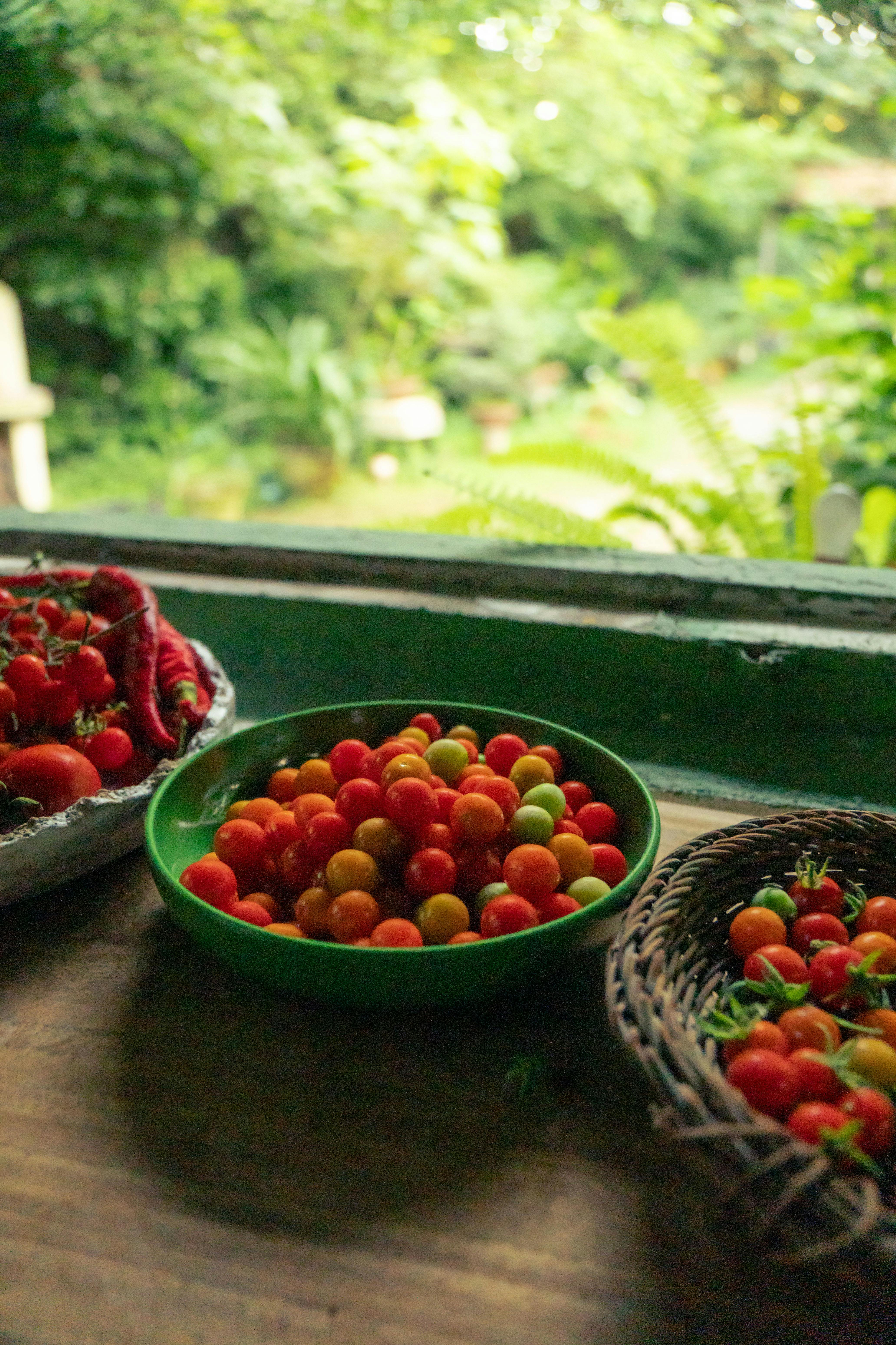 Fat+Woman+Small+Tits Photos, Download The BEST Free Fat+Woman+Small