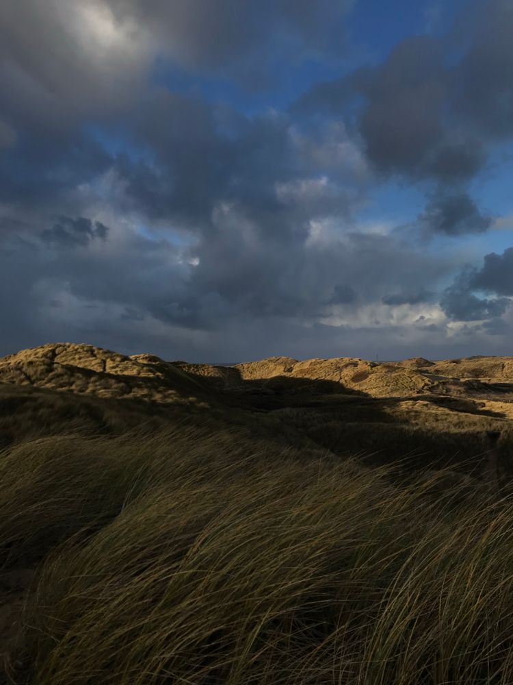 Windswept Hills Photos, Download The BEST Free Windswept Hills Stock ...