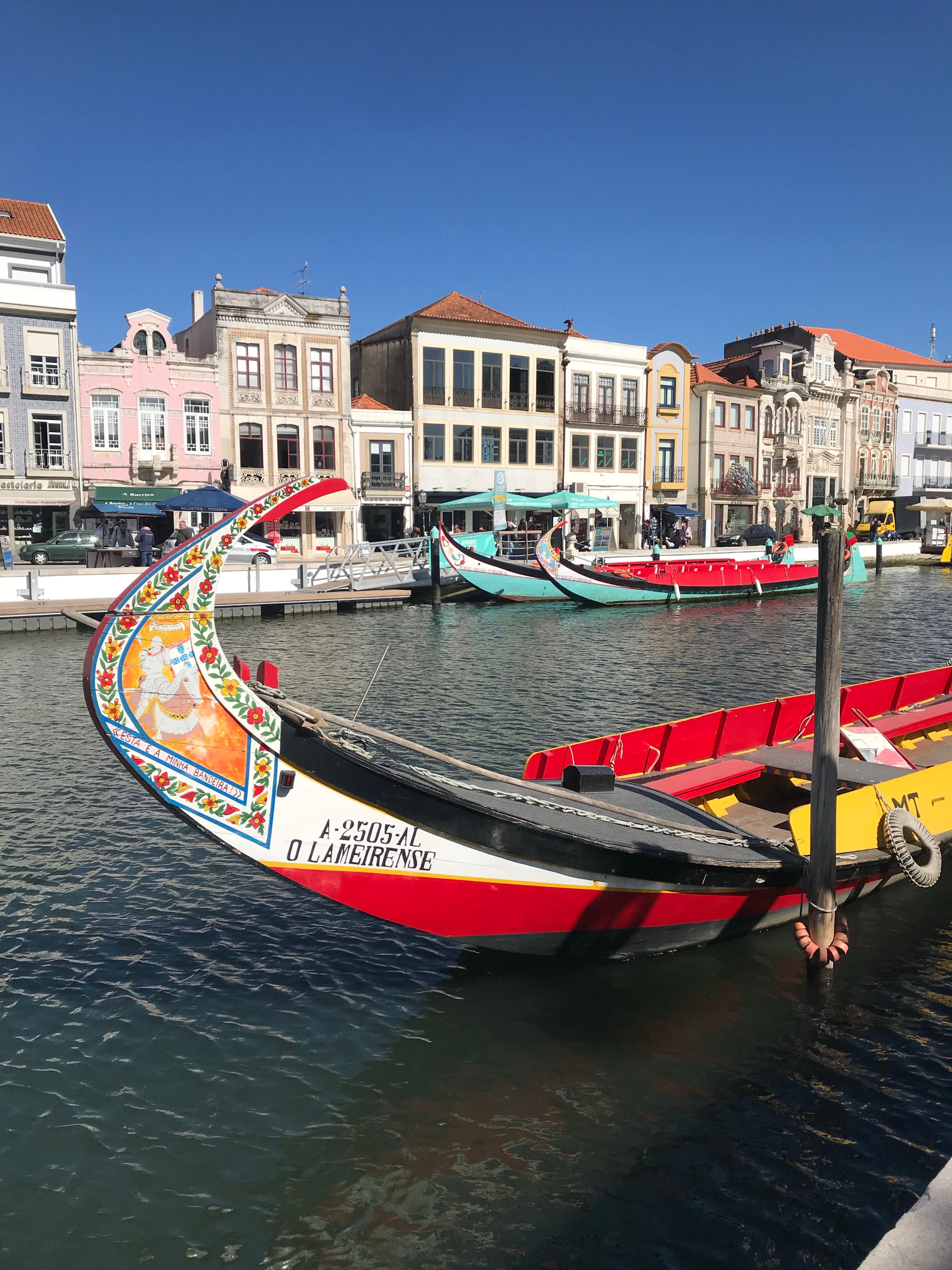 Moliceiro Boat Ride