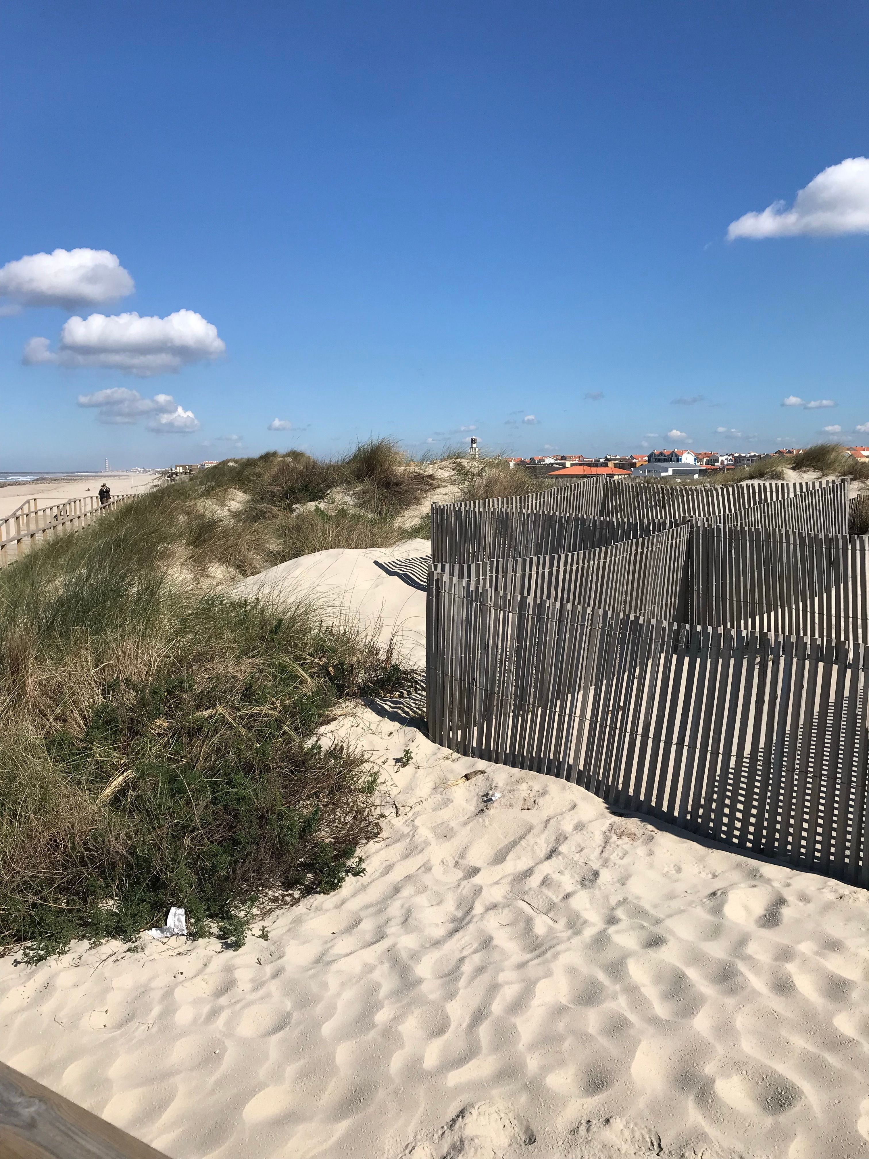 Fotomural Tranquila escena de playa de arena con dunas y vallas bajo un cielo azul con nubes.
