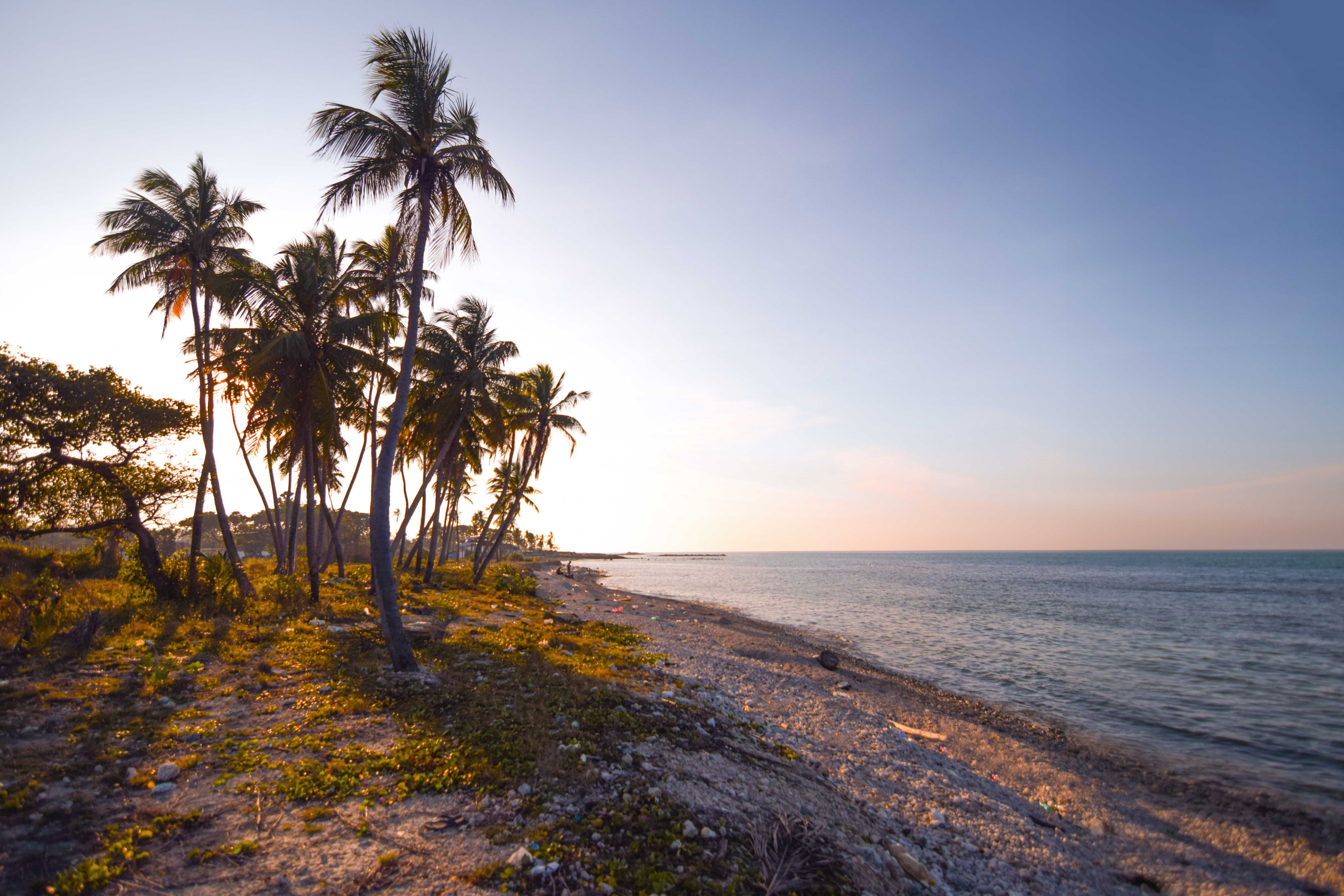 Sunset Beach with Palm Trees in Sri Lanka · Free Stock Photo
