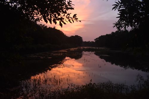 Free Beautiful sunset reflecting on the river in Dhauli, Odisha, India. Stock Photo