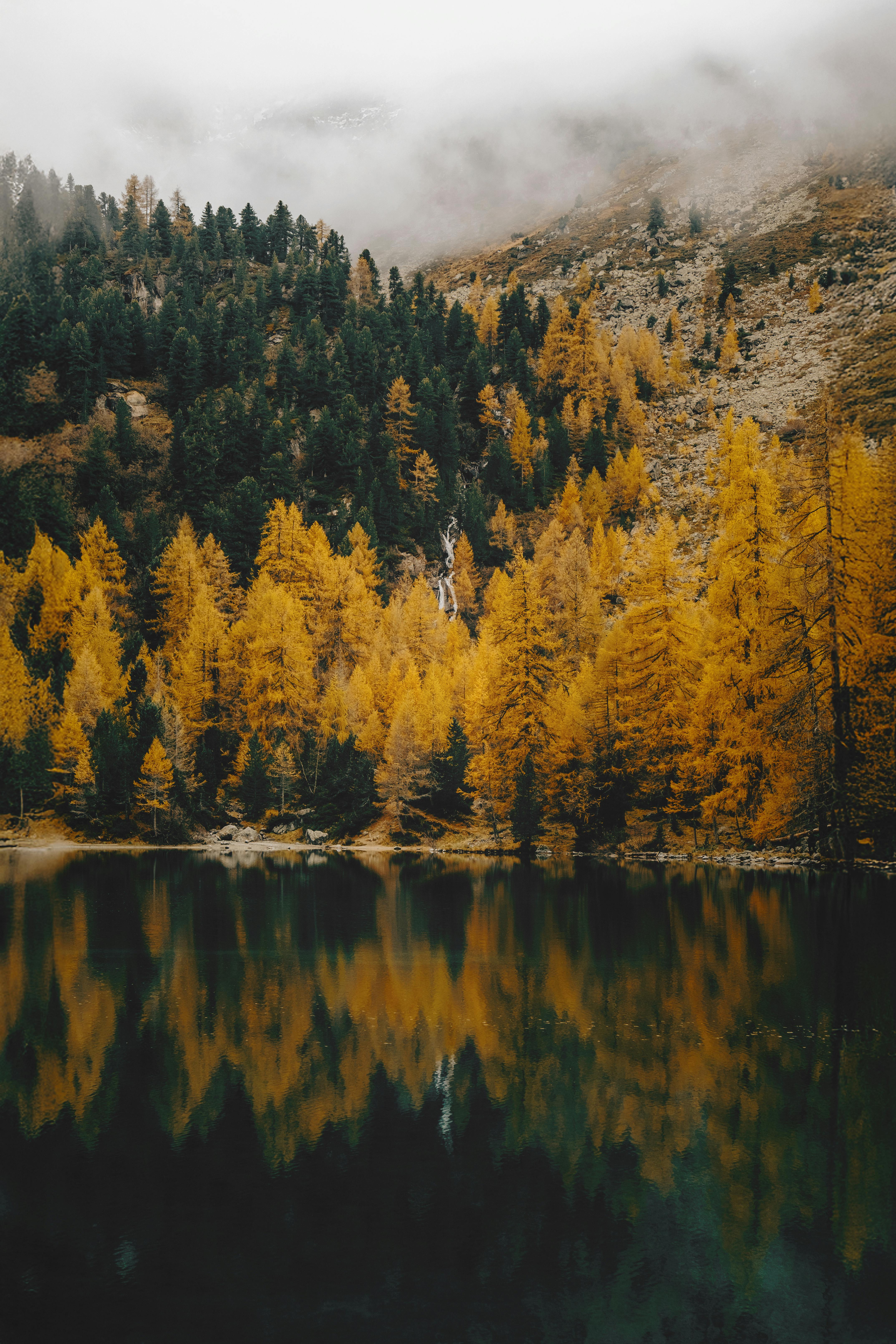 Stunning reflection of golden autumn forest in a tranquil mountain lake under a misty sky.