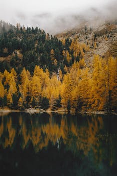 Stunning reflection of golden autumn forest in a tranquil mountain lake under a misty sky.