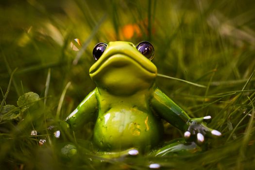 Charming ceramic frog figurine sitting in lush green grass, perfect for garden decoration.
