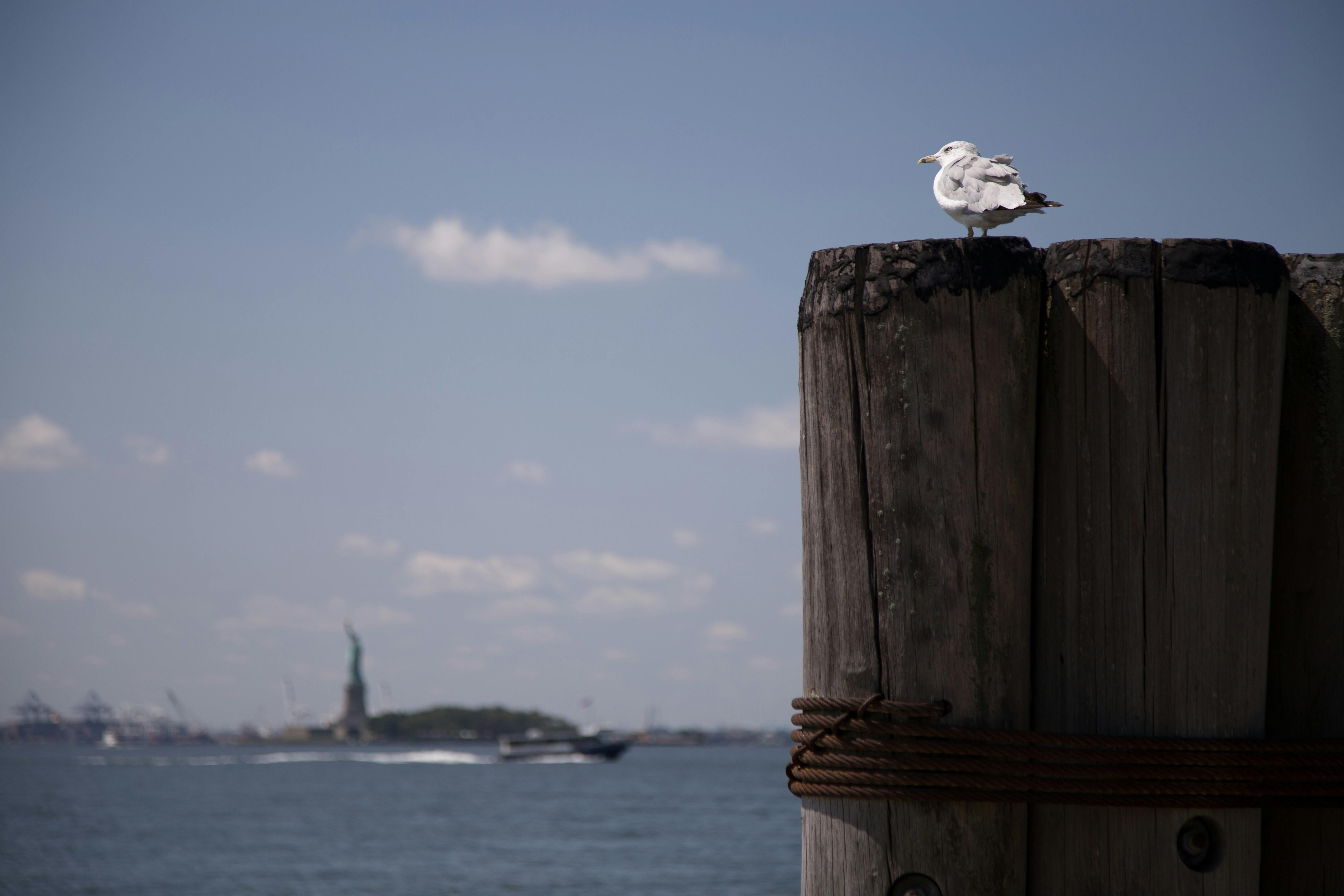 生活：高雄眷村嘉年華10/25左營首發登場 文化盛宴不容錯過