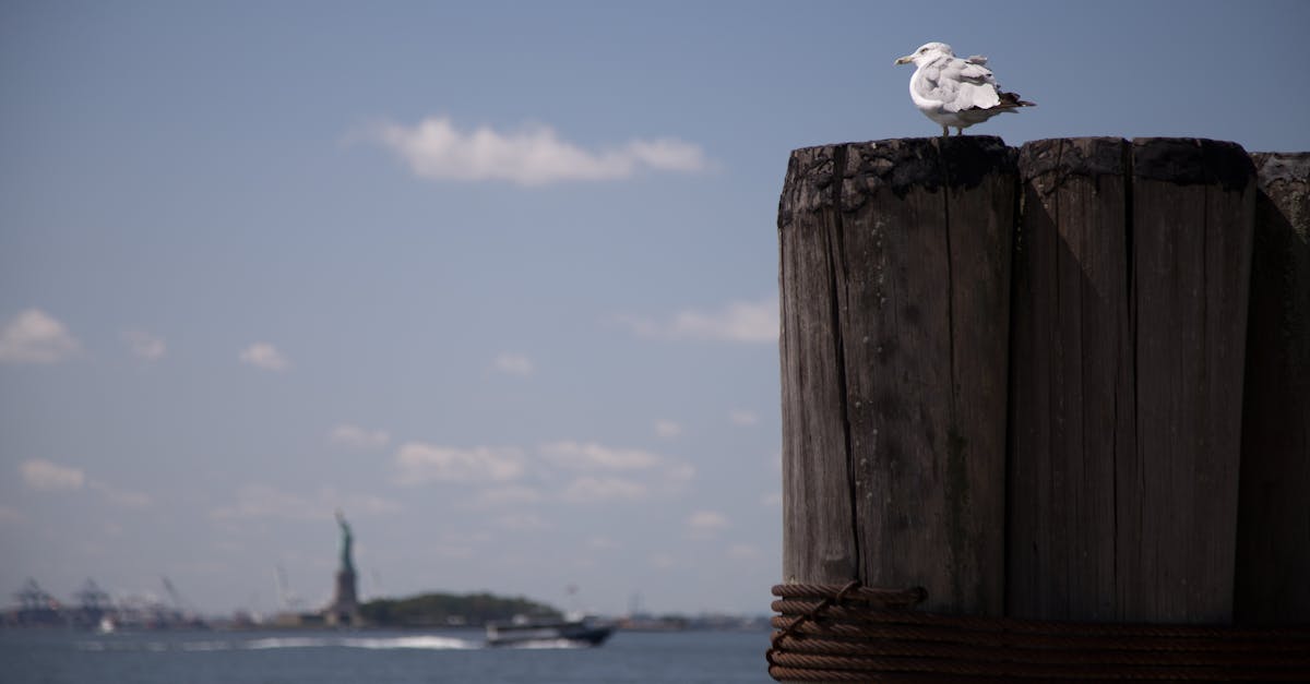 生活:高雄眷村嘉年華10/25左營首發登場 文化盛宴不容錯過