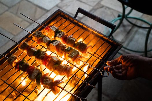 Paneer Seekh Kebab