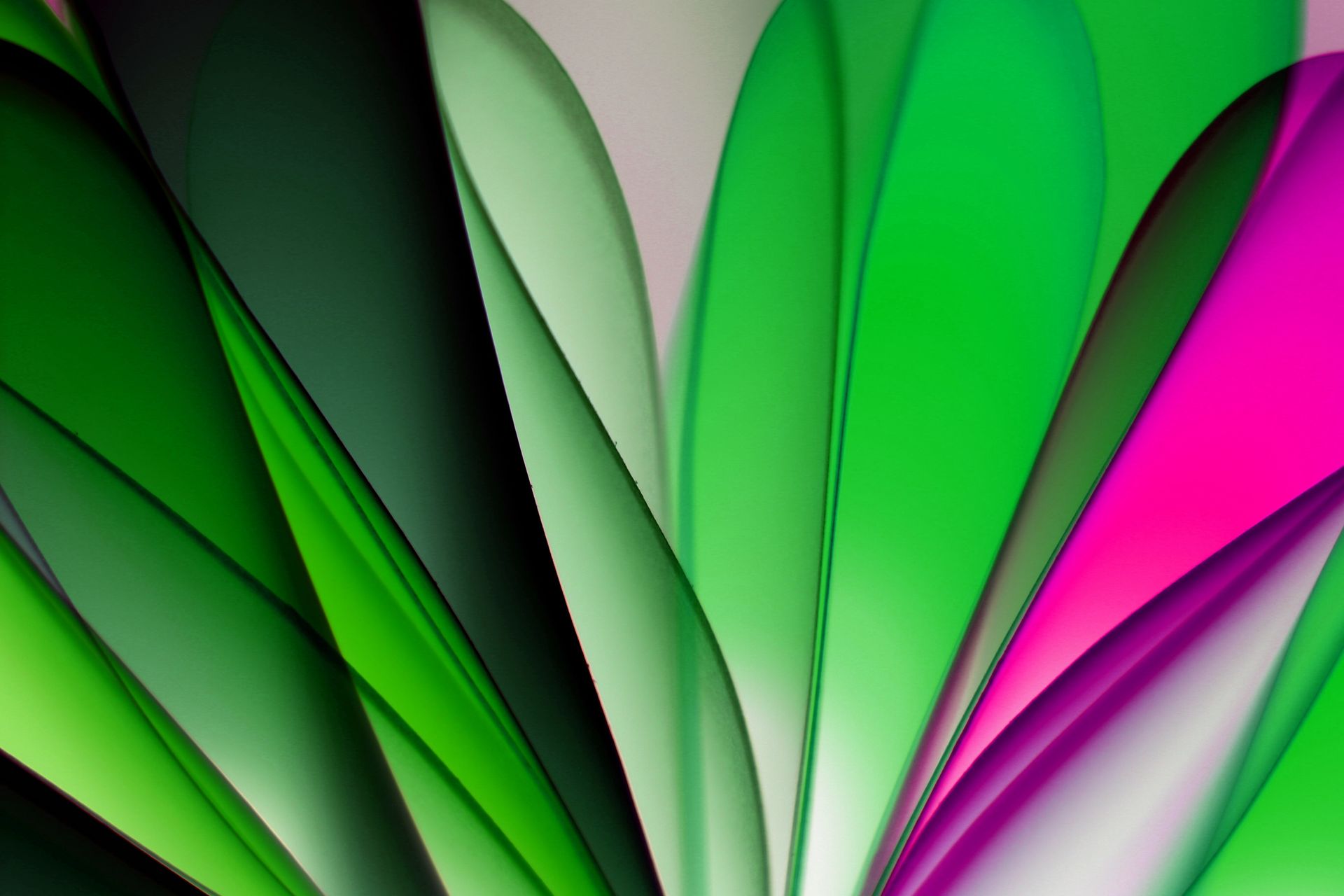 Vibrant abstract image featuring green and pink gradient layers, creating a dynamic visual pattern.