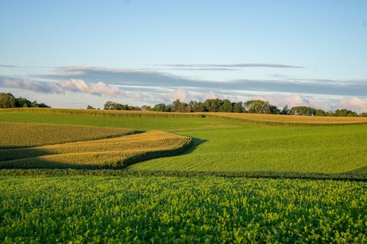 Nelson, New Zealand photo 12