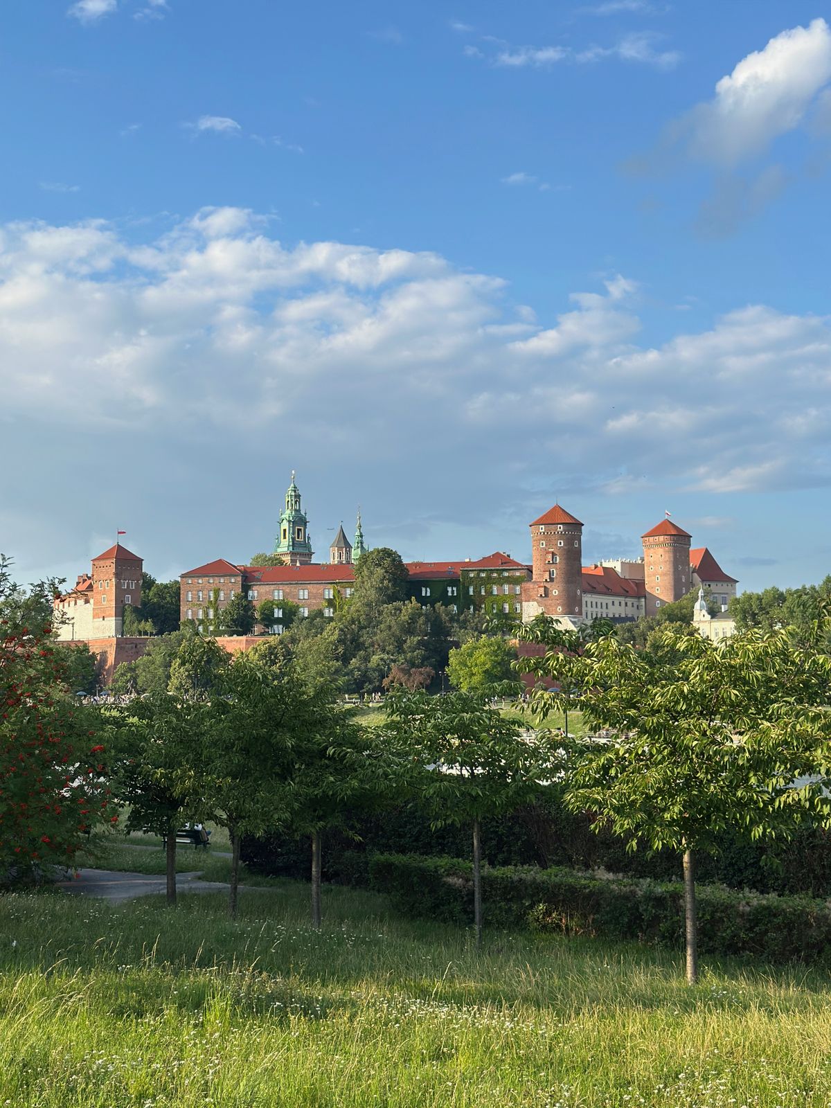 Orașul Vechi Cracovia - colina Wawel