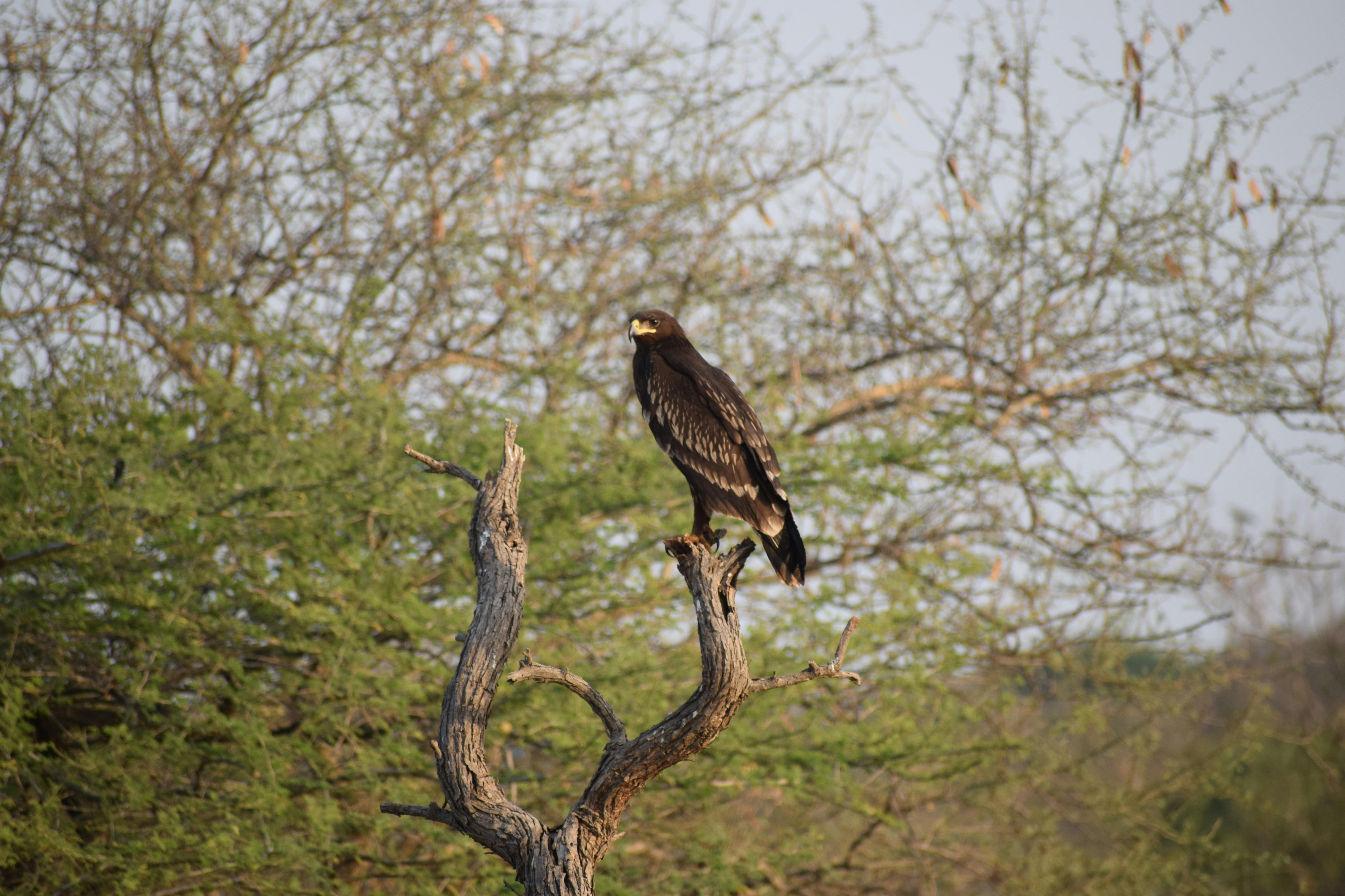 谷歌宣布恢復因政治言論被封禁的YouTube帳號