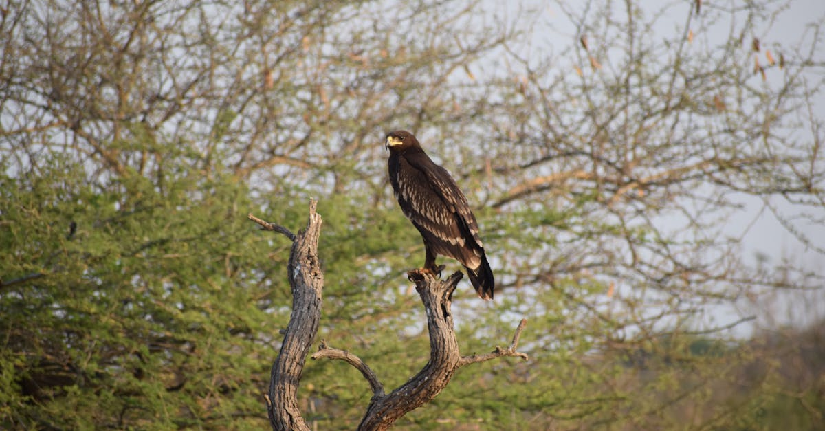 谷歌宣布恢復因政治言論被封禁的YouTube帳號