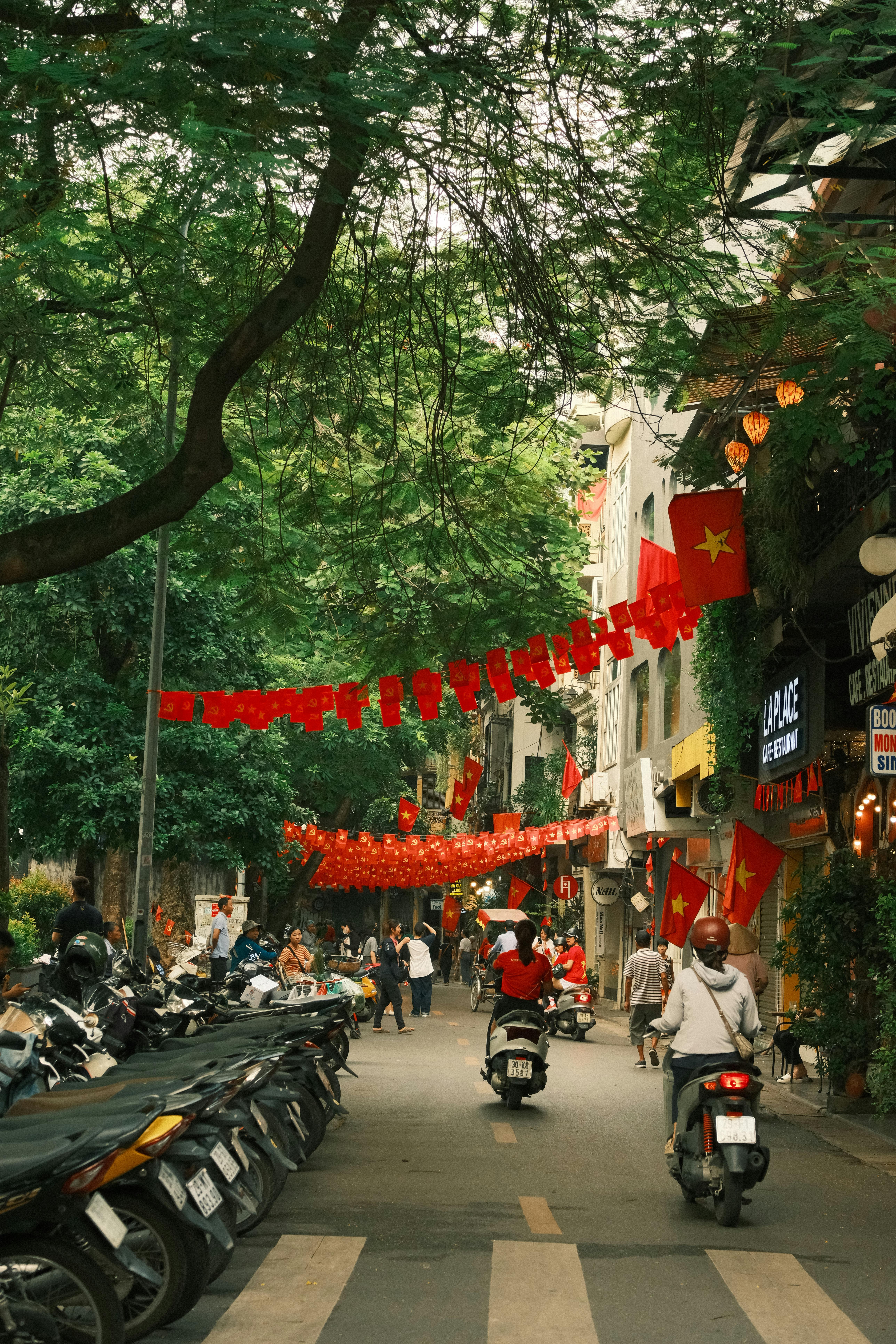 Vietnam Delights - Image 2
