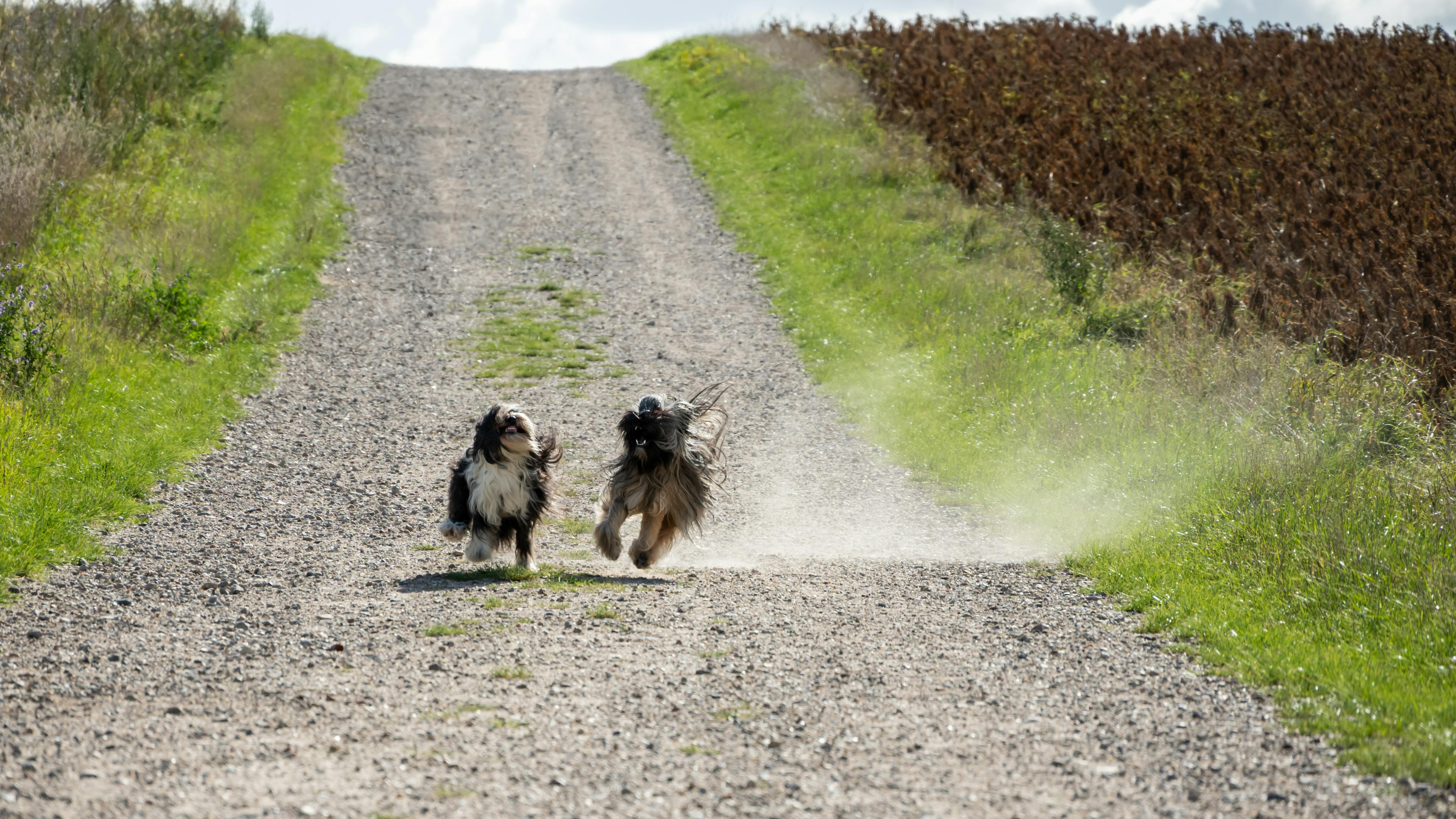 谷歌宣布恢復因政治言論被封禁的YouTube帳號