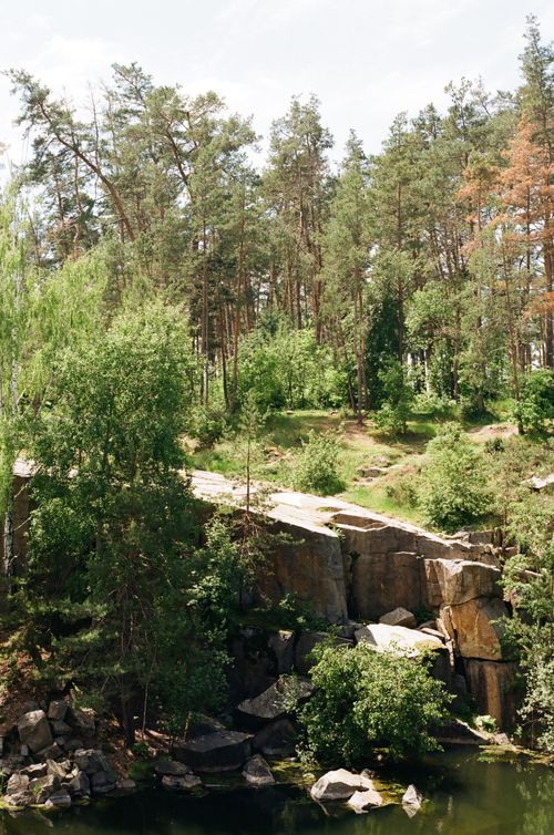 Free Peaceful forest scenery featuring rocky river bank and pine trees under clear sky. Stock Photo