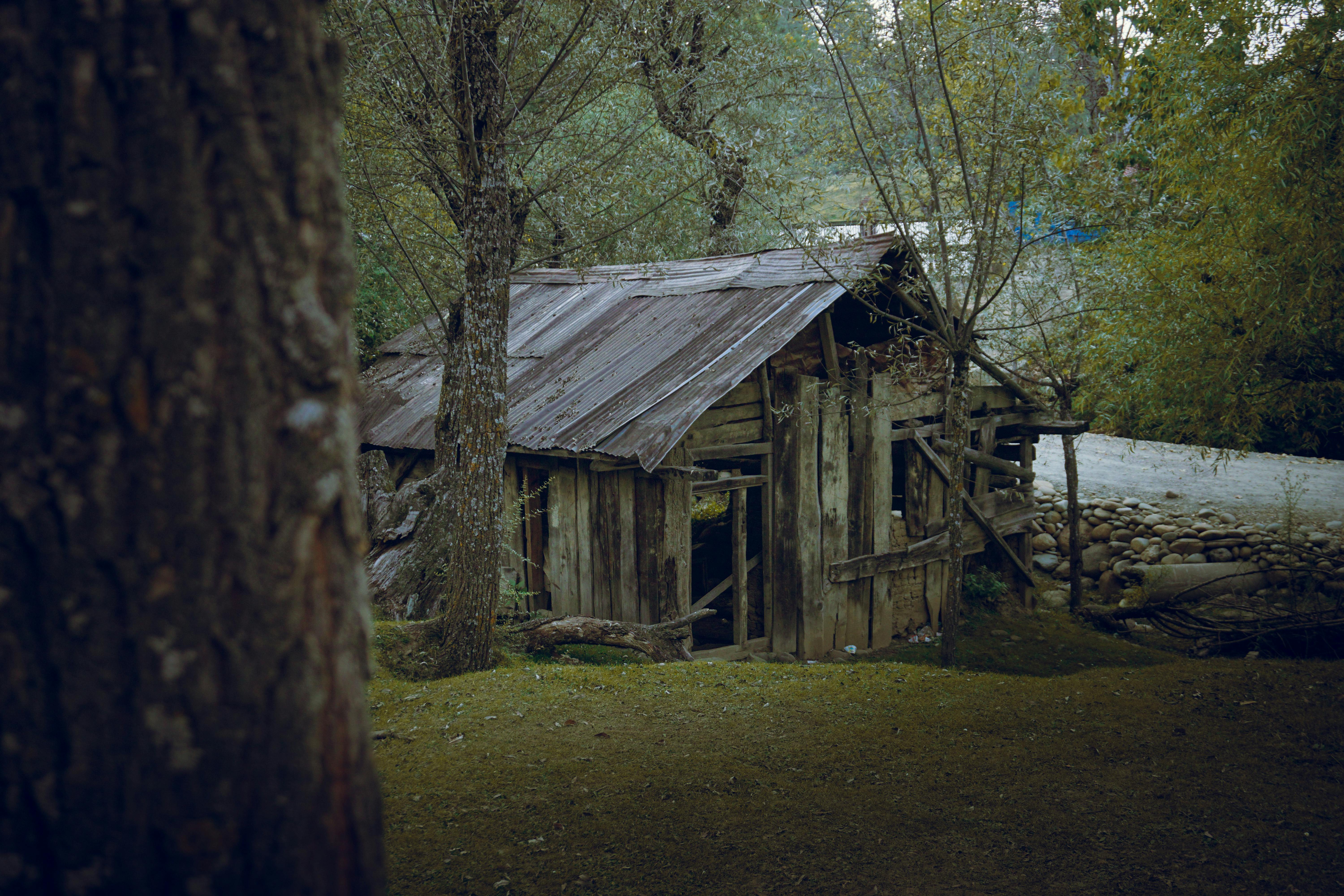 Discover the Secret Ingredients Behind Mouth-Watering Dishes