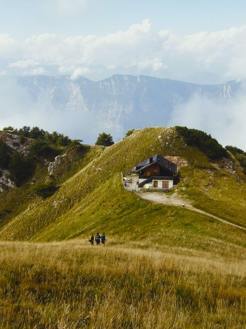 Rustic cabin surrounded by lush green hills in Trentino, ideal for nature lovers.