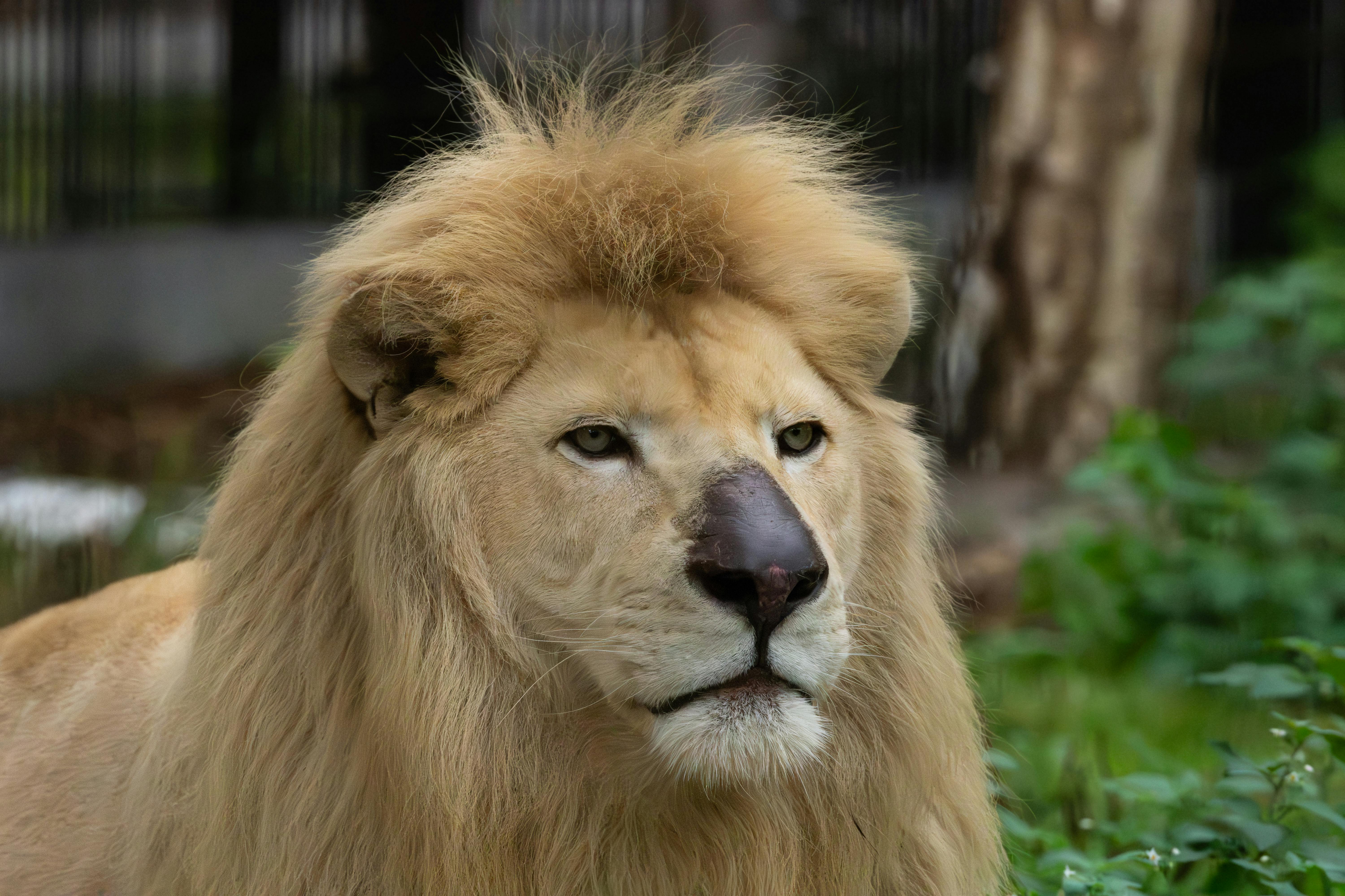 Top 5 Mistakes That Damage Your Hair Routine