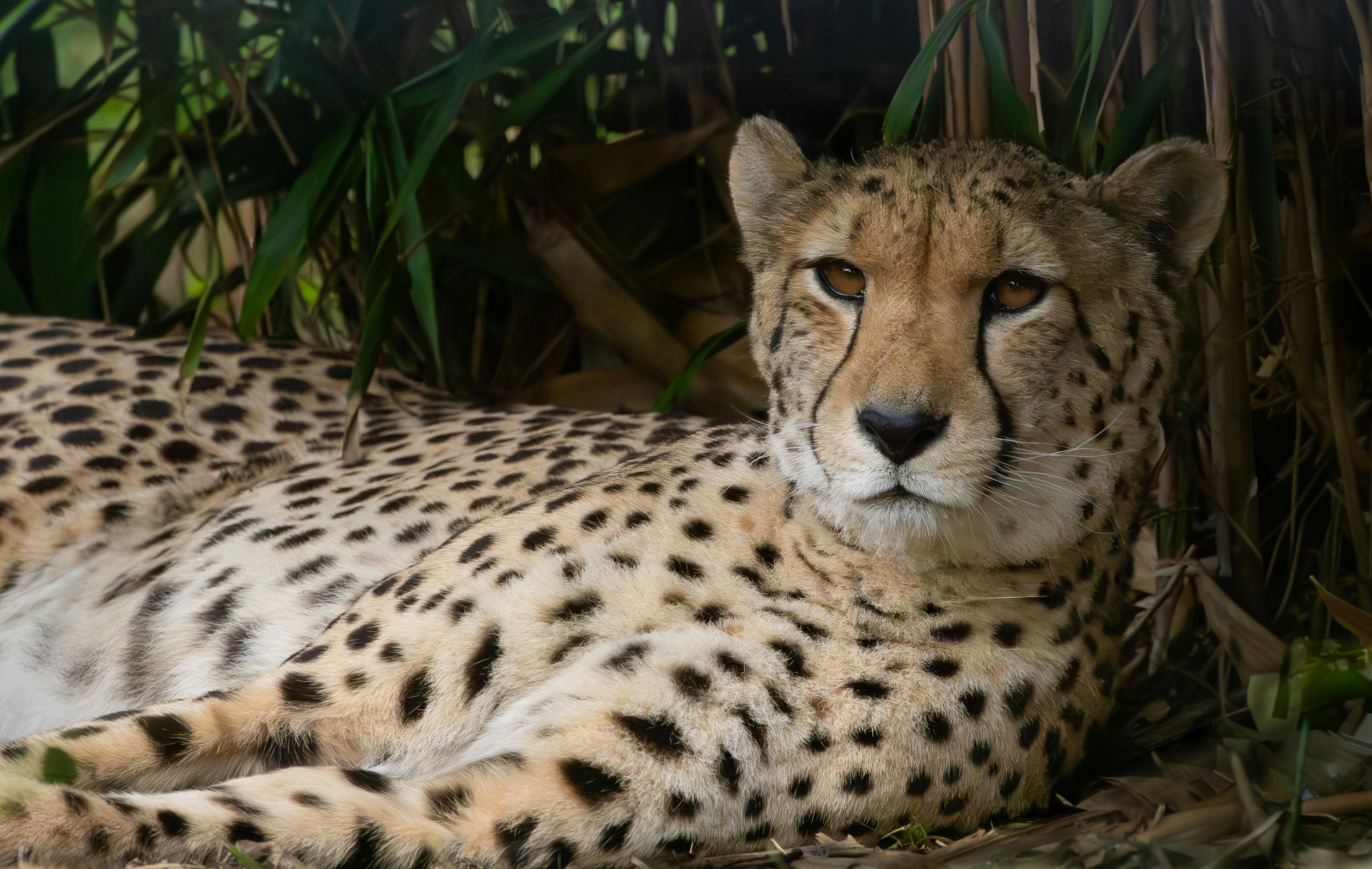 認識瓦萊麗：揭秘他孩子的母親與家庭生活