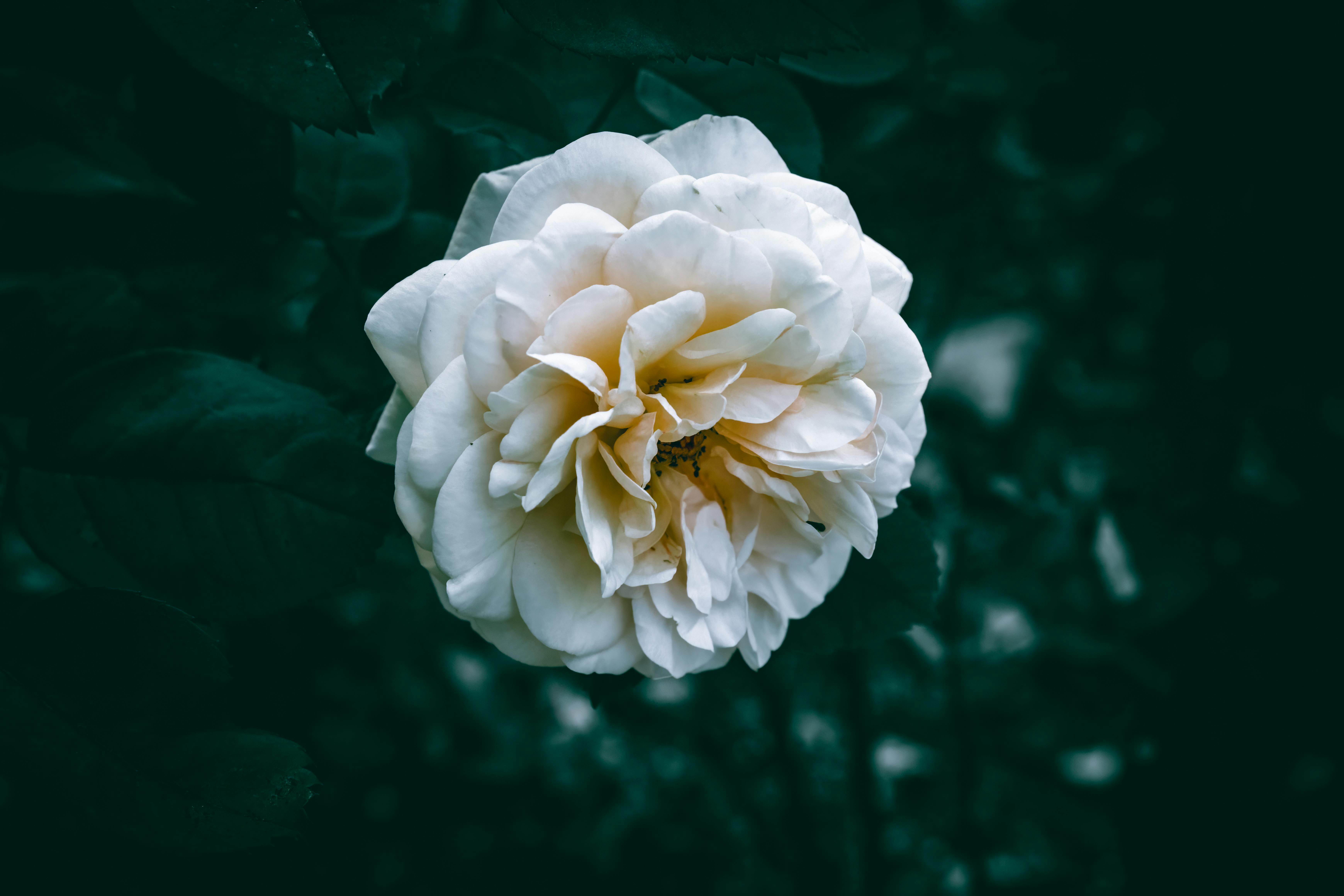 Exploring the Mysteries of Energy