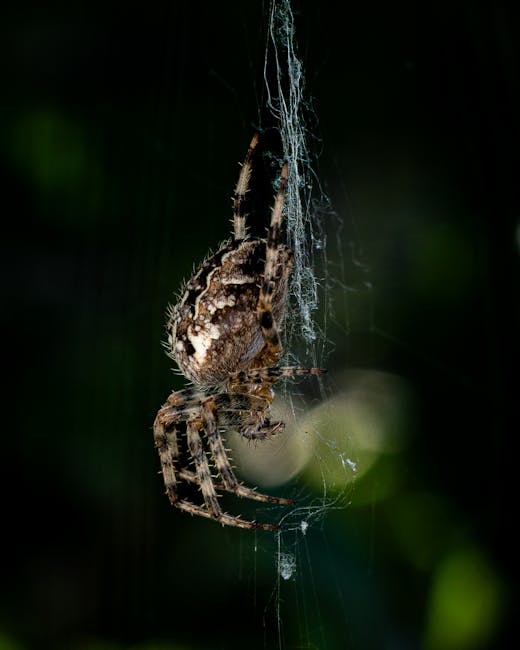 Macro photograph of a spider weaving its intricate web against a dark background.