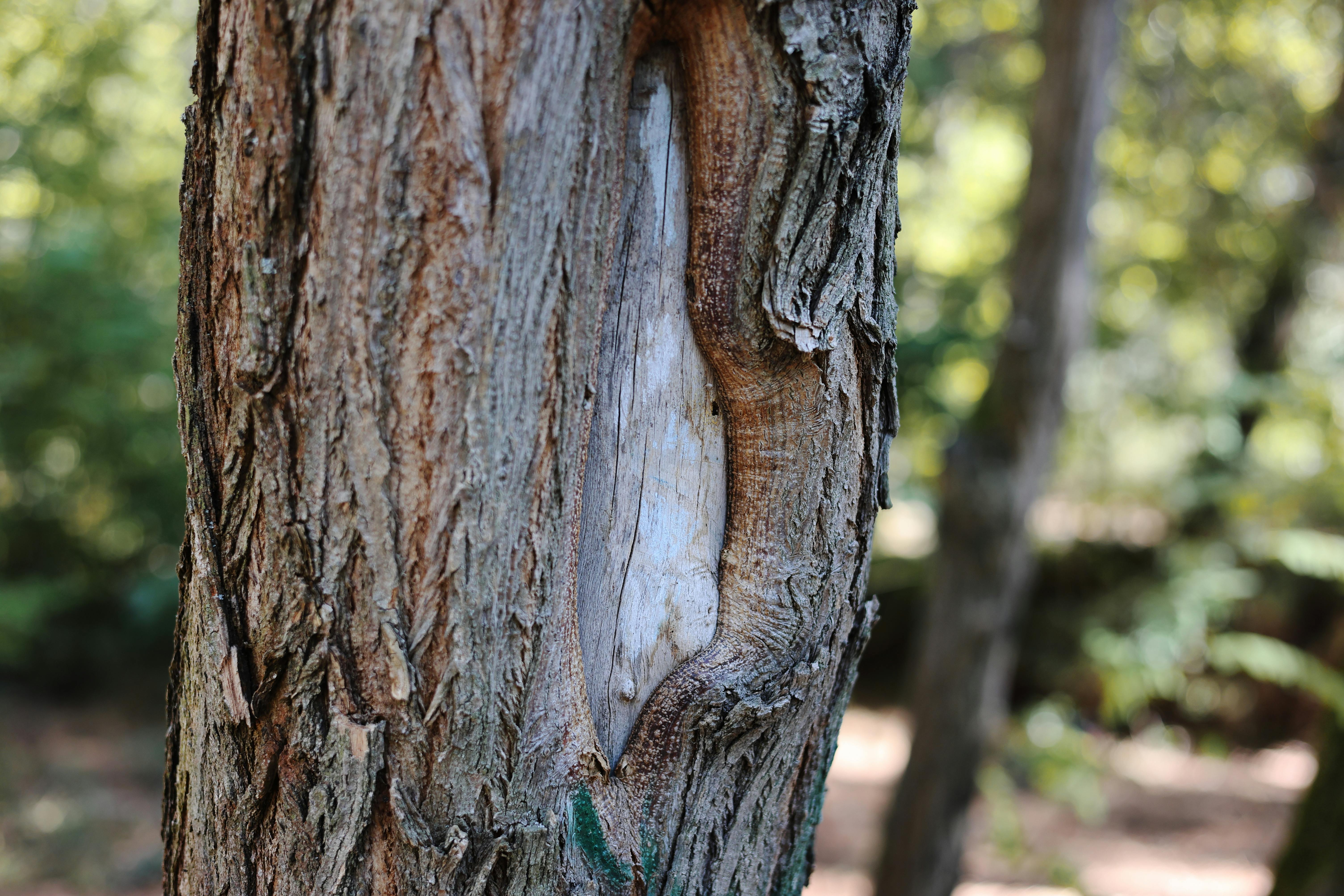 Top Eco Hacks to Reduce Your Carbon Footprint Instantly