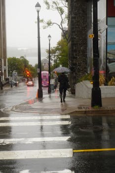 A person walks through a city street with an umbrella on a rainy day.