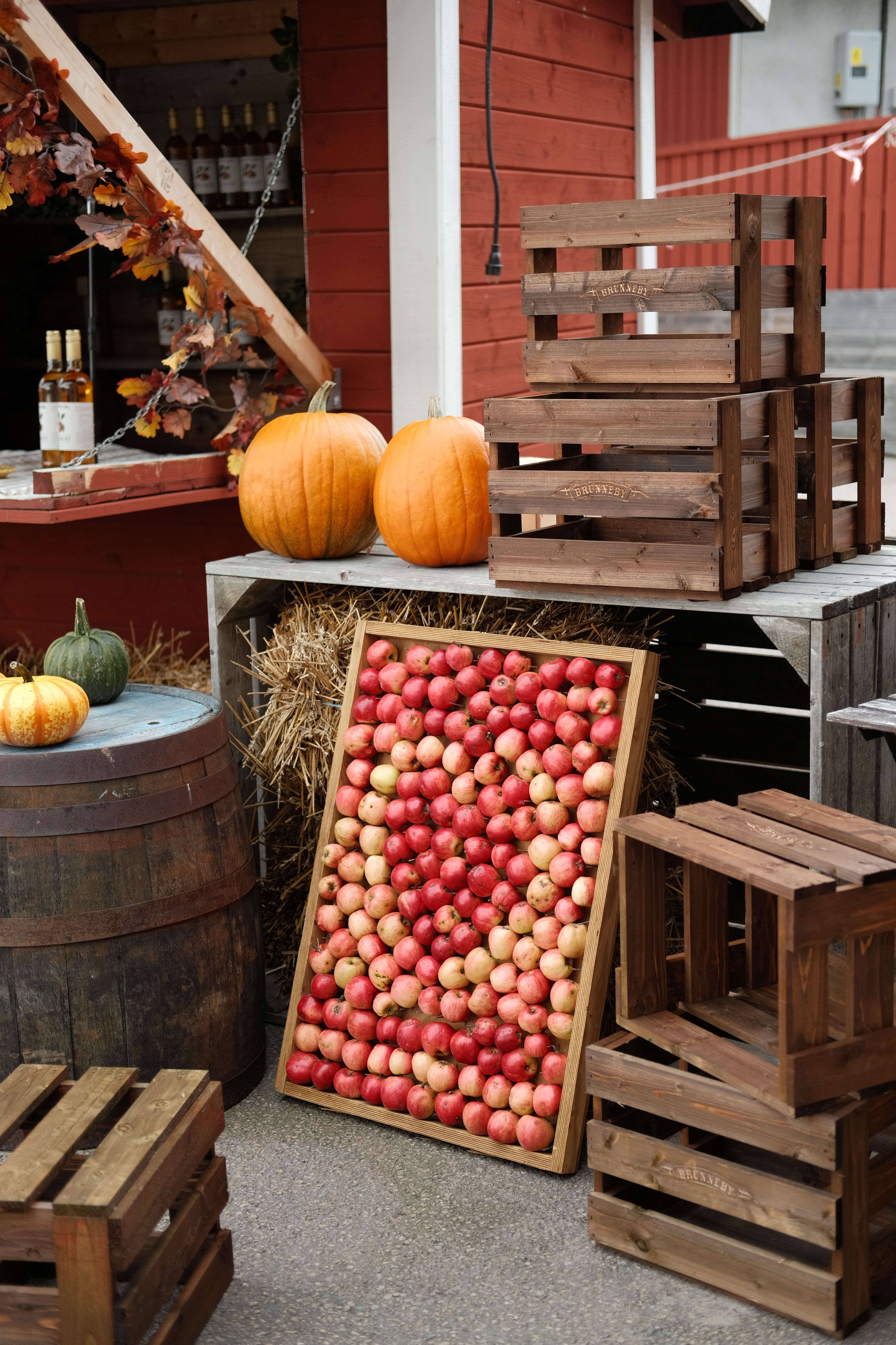 Autumn Harvest Display with Apples and Pumpkins · Free Stock Photo