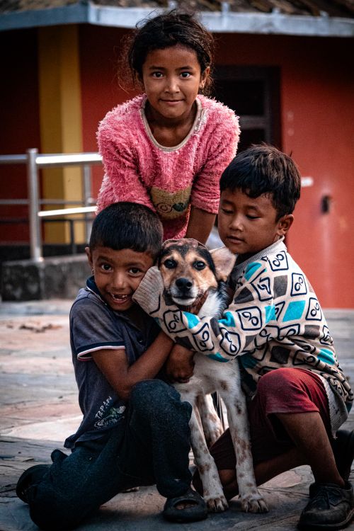 Free Three kids joyfully play with their dog in a vibrant village scene, showcasing happiness. Stock Photo