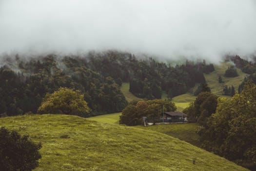 Idyllic mist-covered hills in Gruyères, Switzerland, showcasing lush greenery and serene landscape.