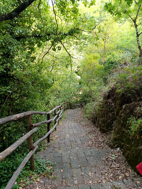 Free Explore a serene stone pathway amidst lush greenery in San Pietro al Tanagro, Campania. Stock Photo